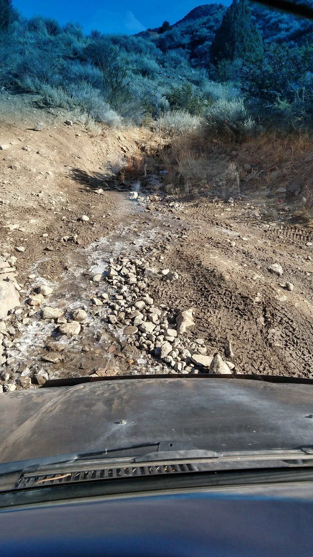 IMG_20201122_111428868_HDR.webp