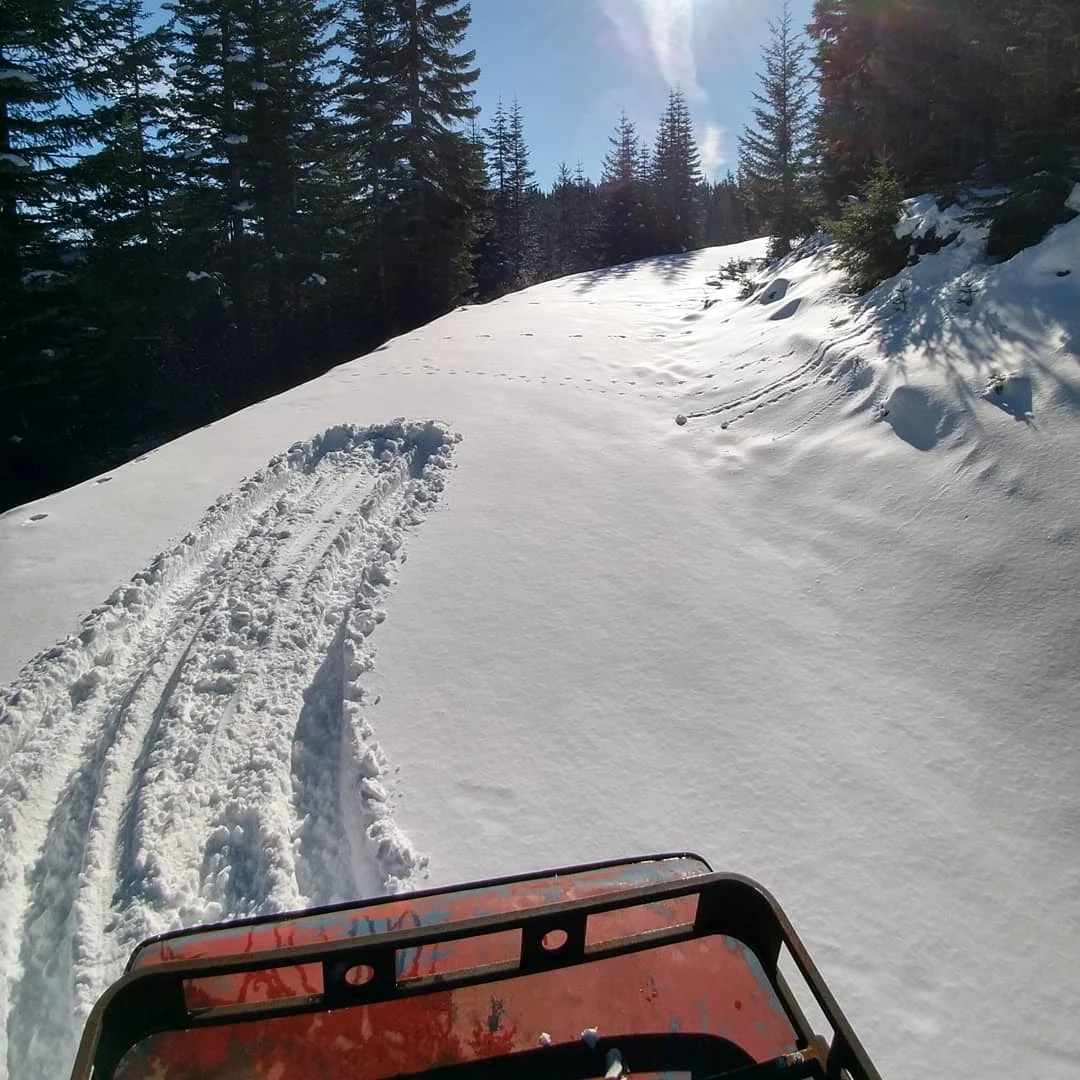 IMG_20201128_090108_514.webp