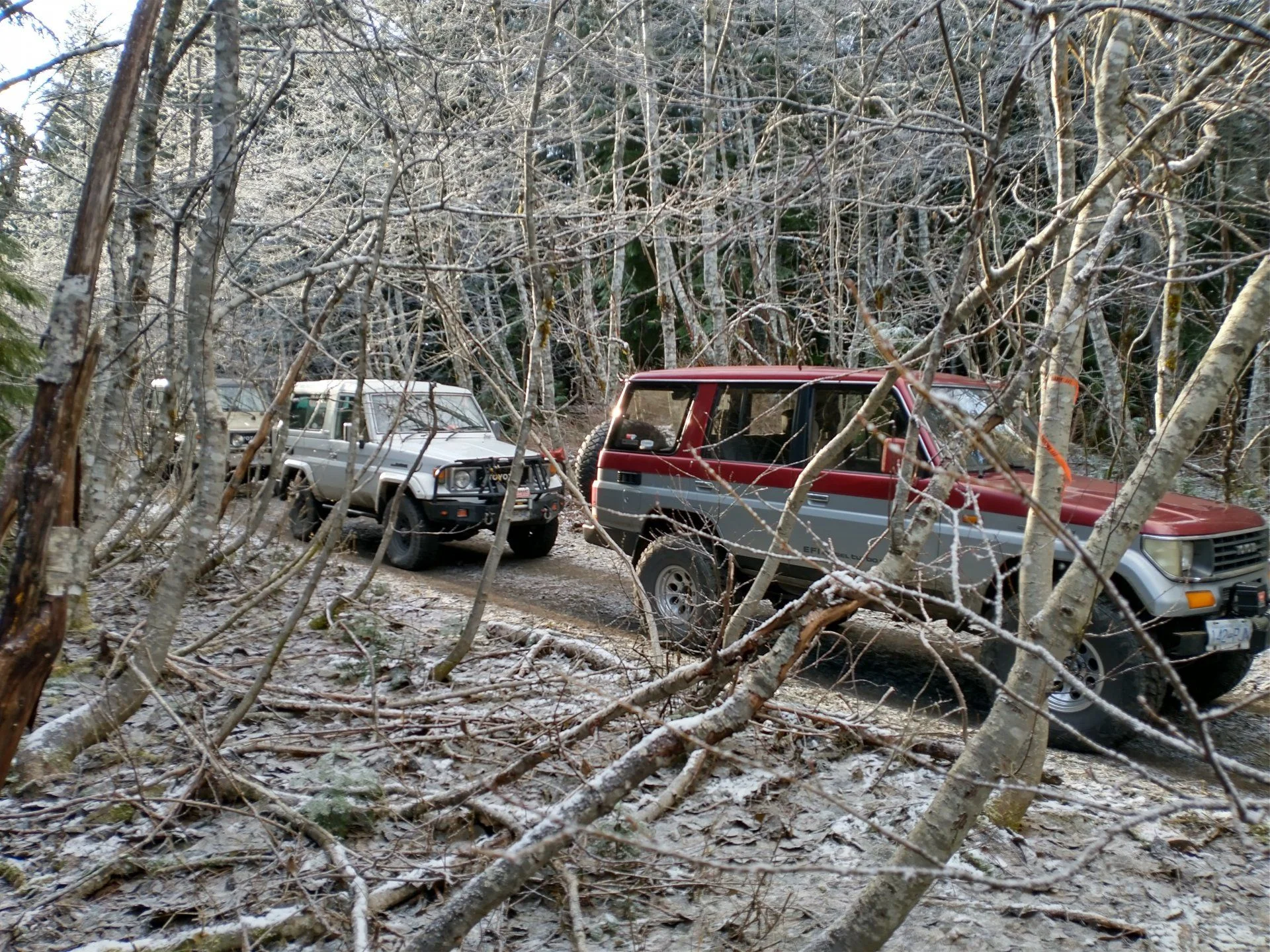 IMG_20201212_102428154_HDR.webp
