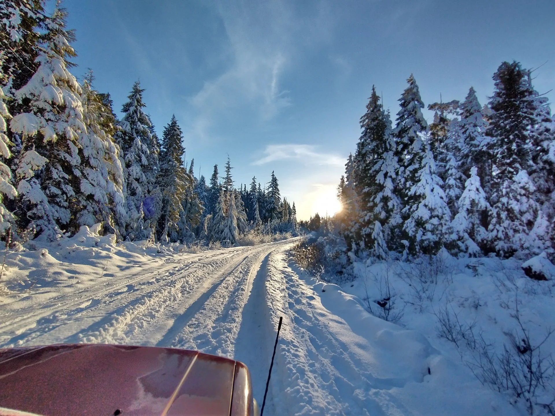 IMG_20201223_152815382_HDR.webp