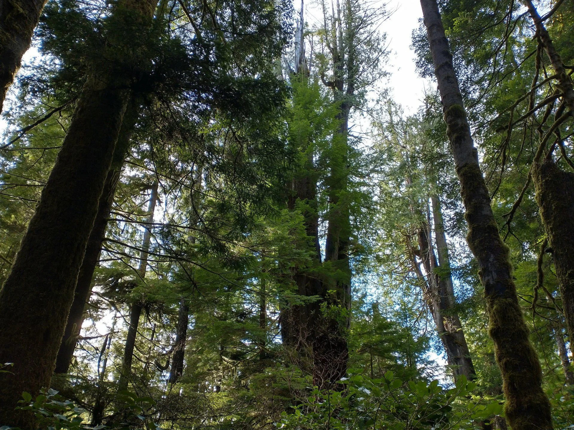 IMG_20210114_130304796_HDR.jpg