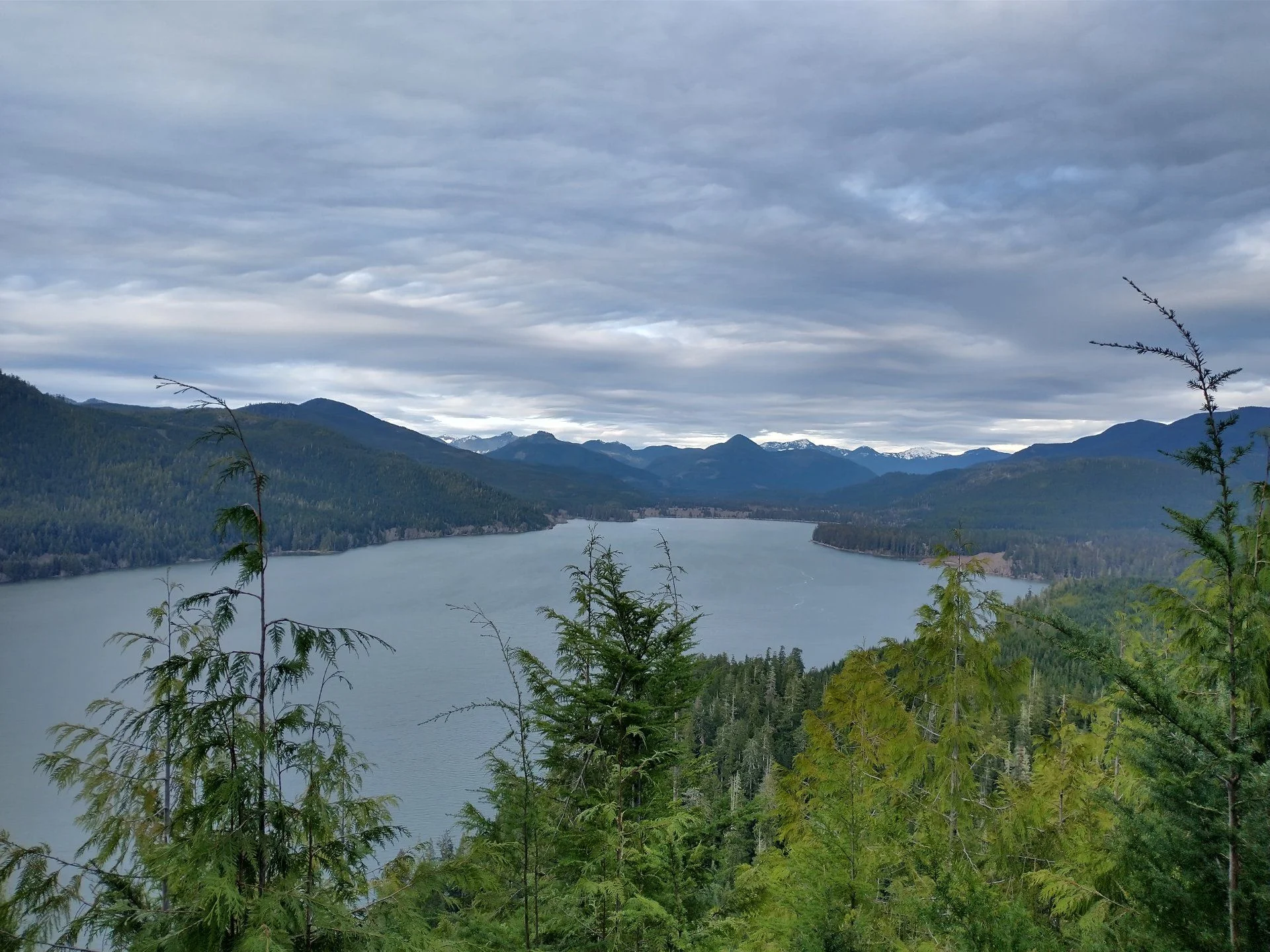 IMG_20210114_150446103_HDR.jpg