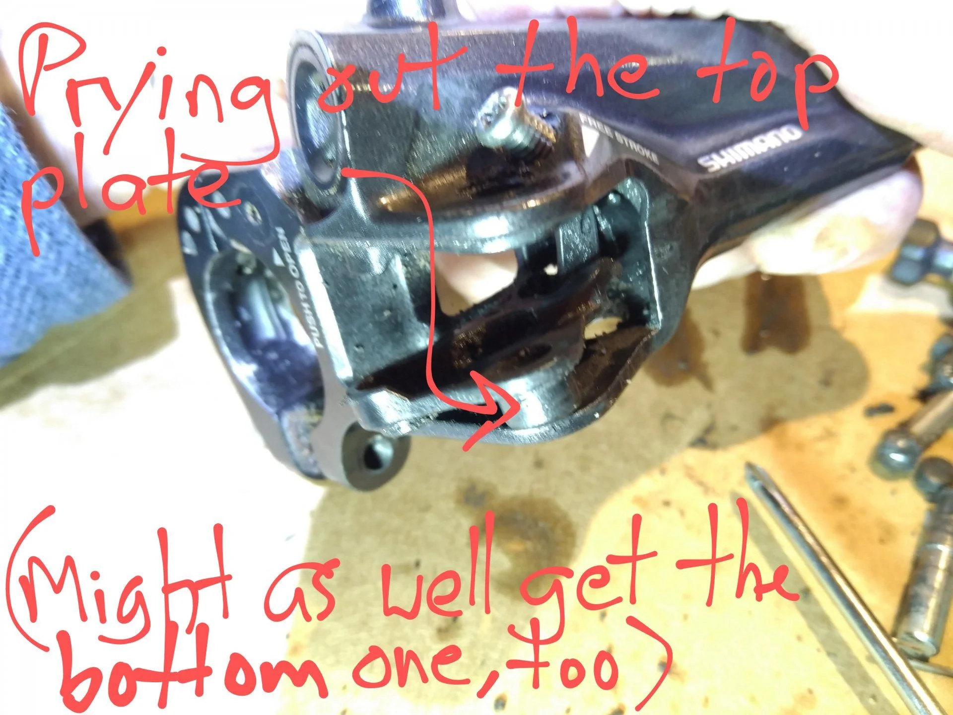 IMG_20210120_193523~2.webp