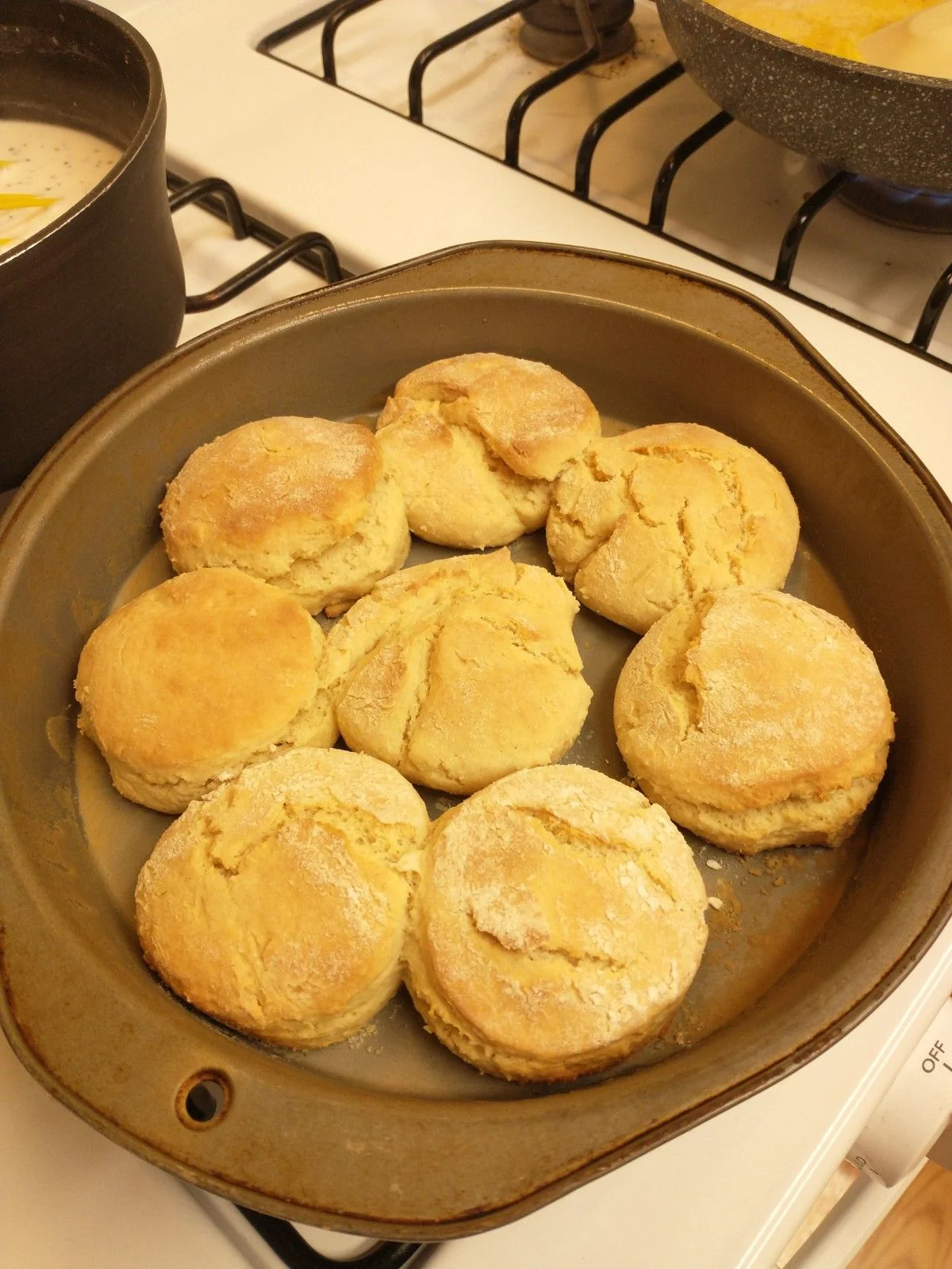 IMG_20210126_150136379.webp