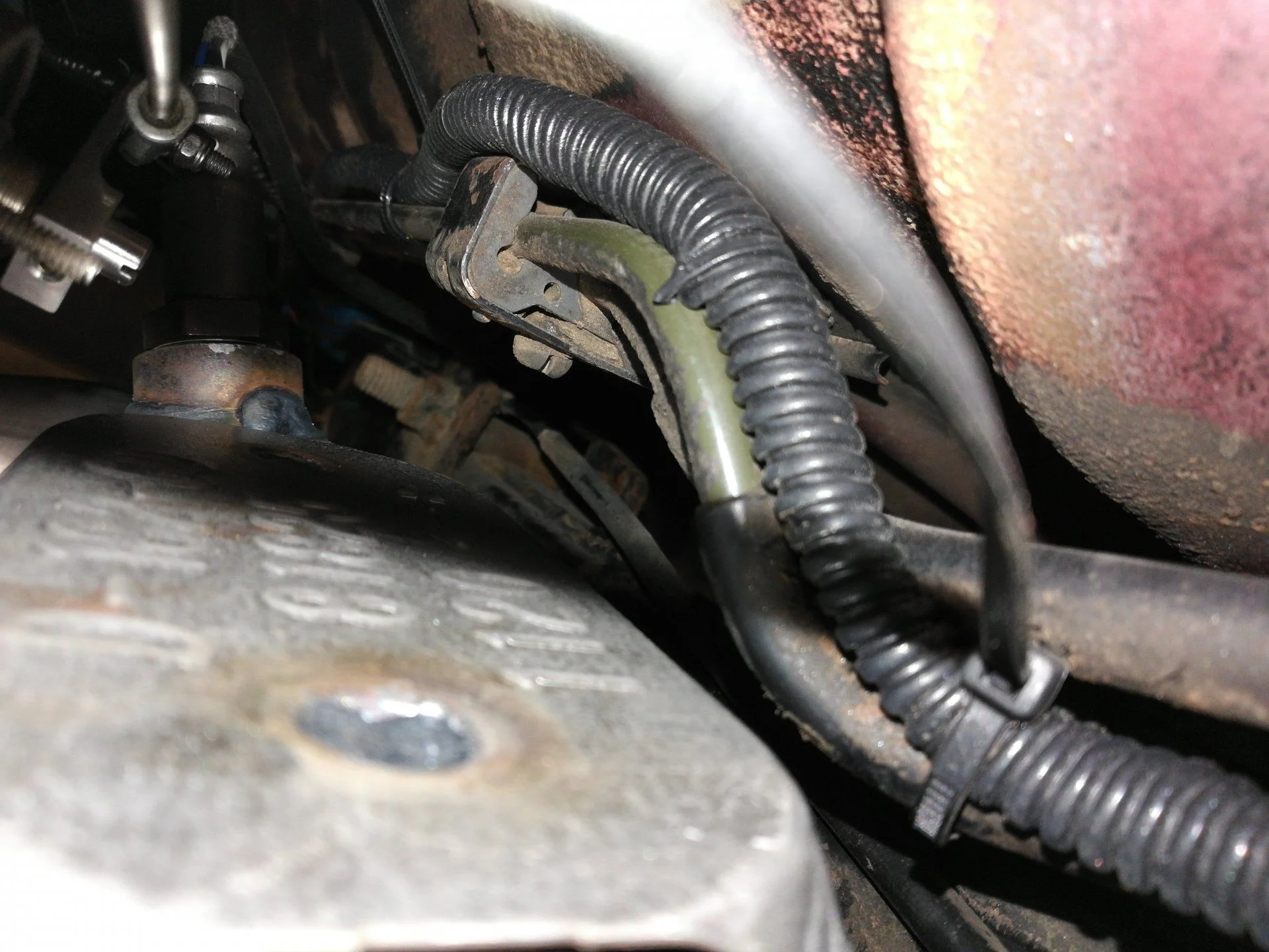 IMG_20210206_131703.webp