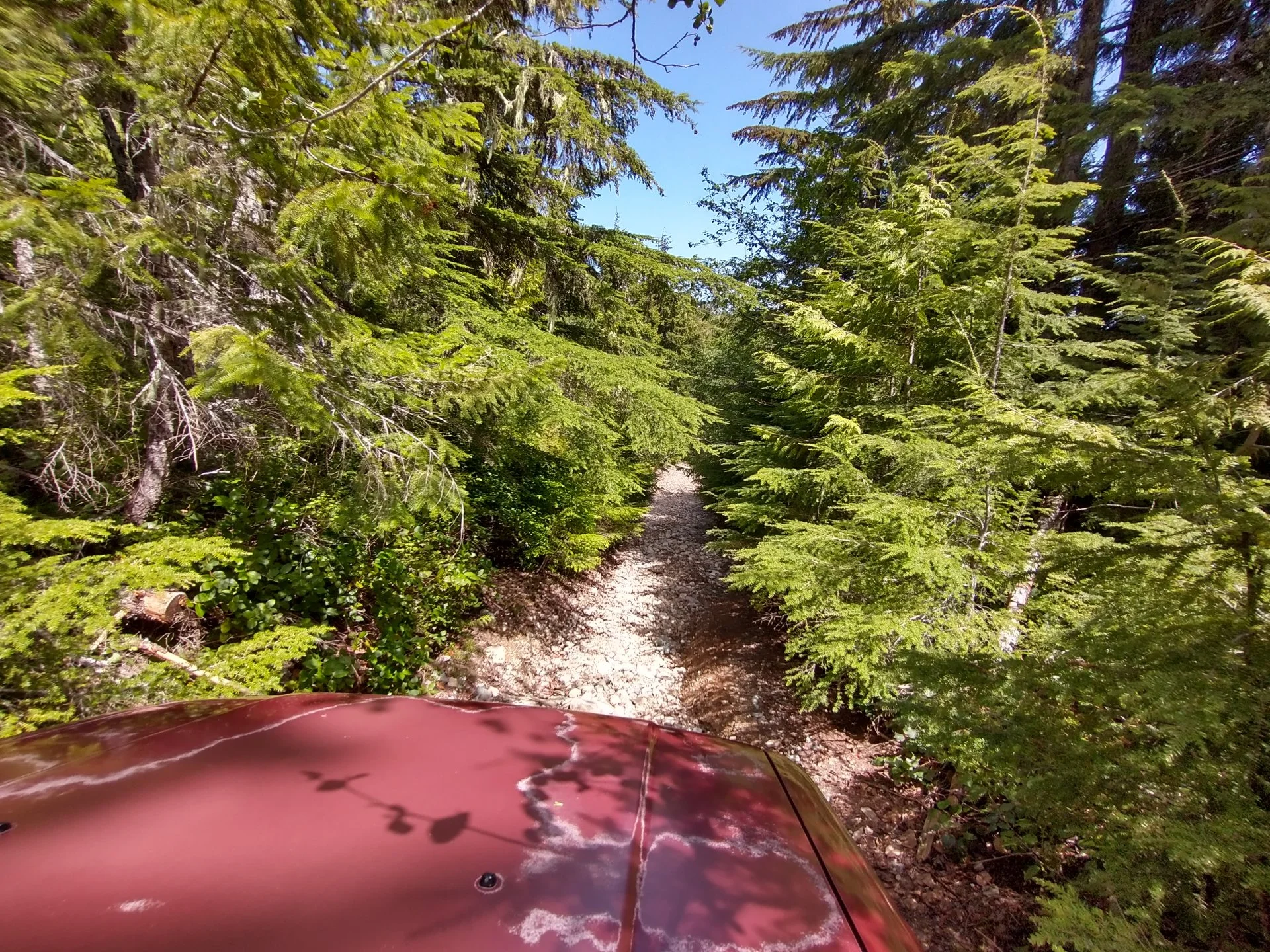 IMG_20210521_135016065_HDR.webp
