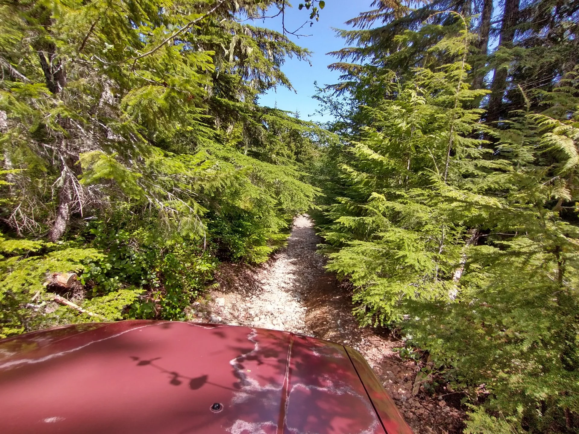 IMG_20210521_135017143_HDR.jpg