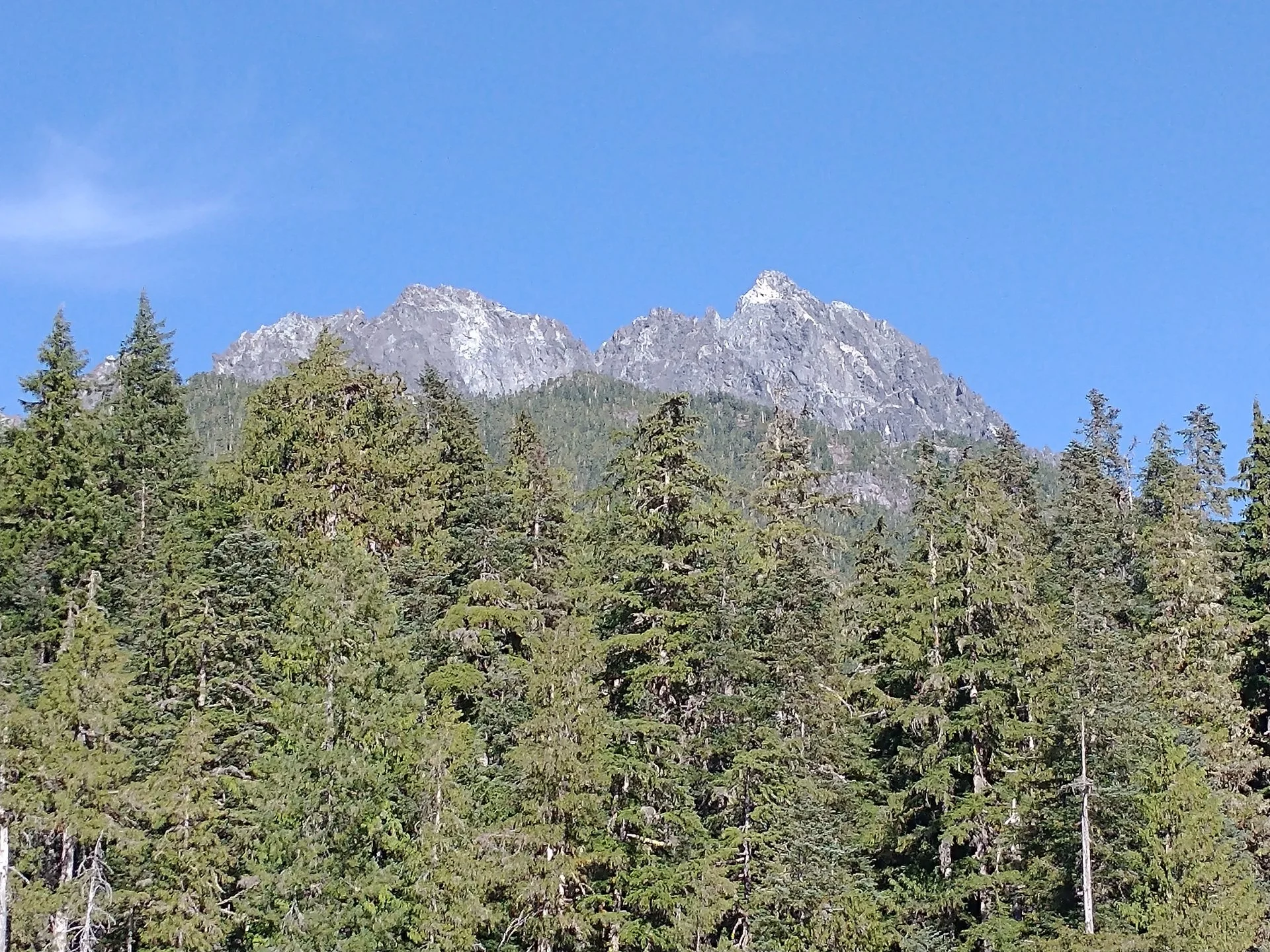 IMG_20210902_162656053.jpg