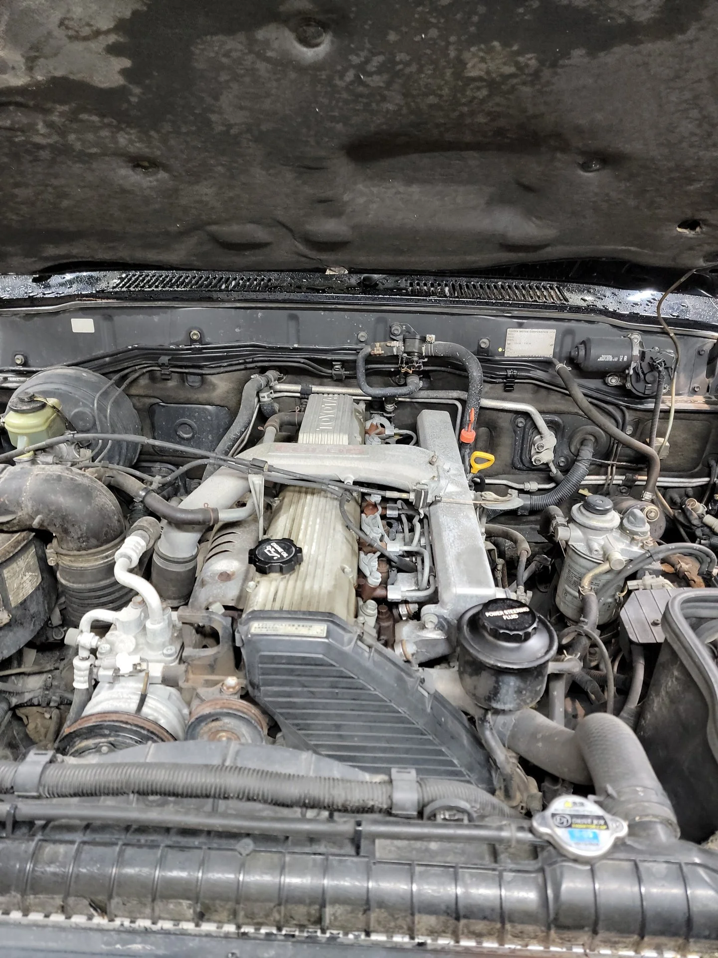 IMG_20211125_124543_01.webp