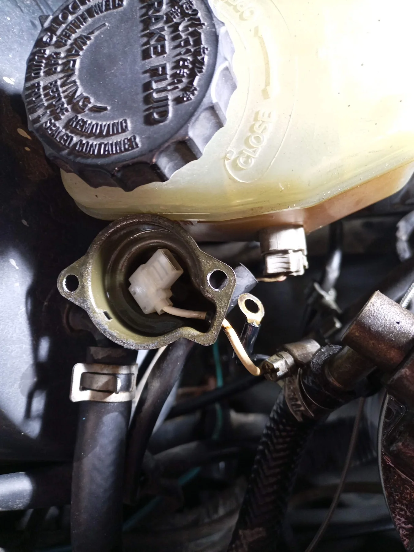 IMG_20211226_145400_241.webp