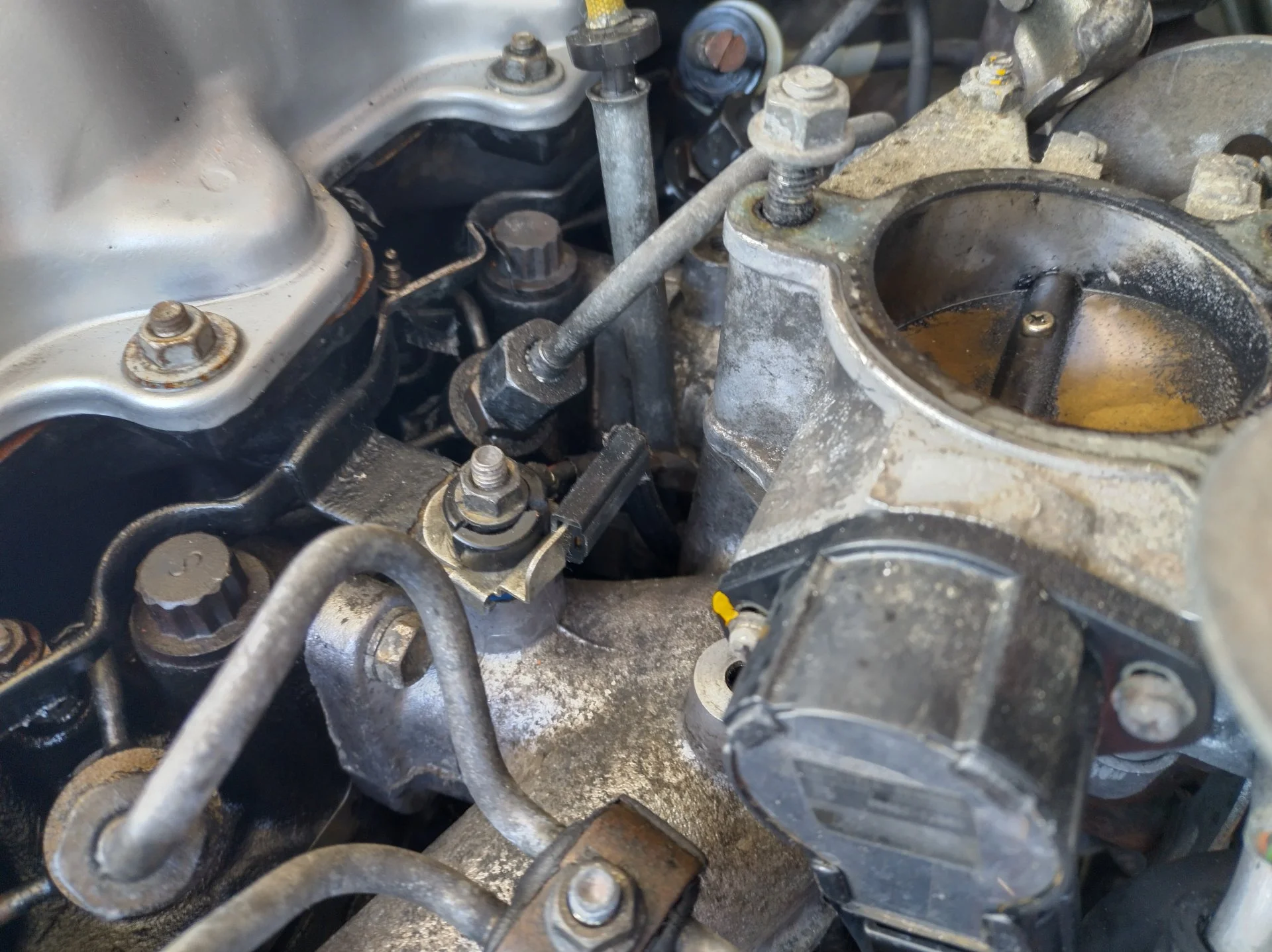 IMG_20220307_155240_HDR.webp