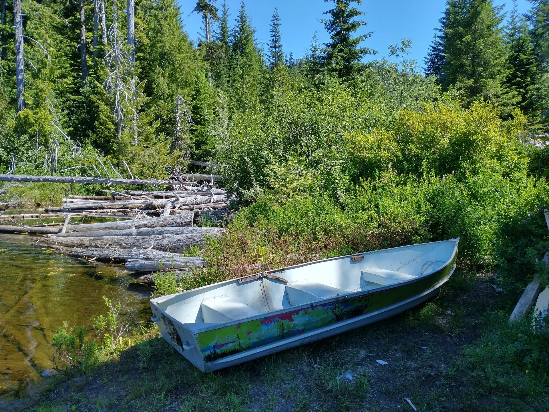 IMG_20220730_120606330_HDR.webp