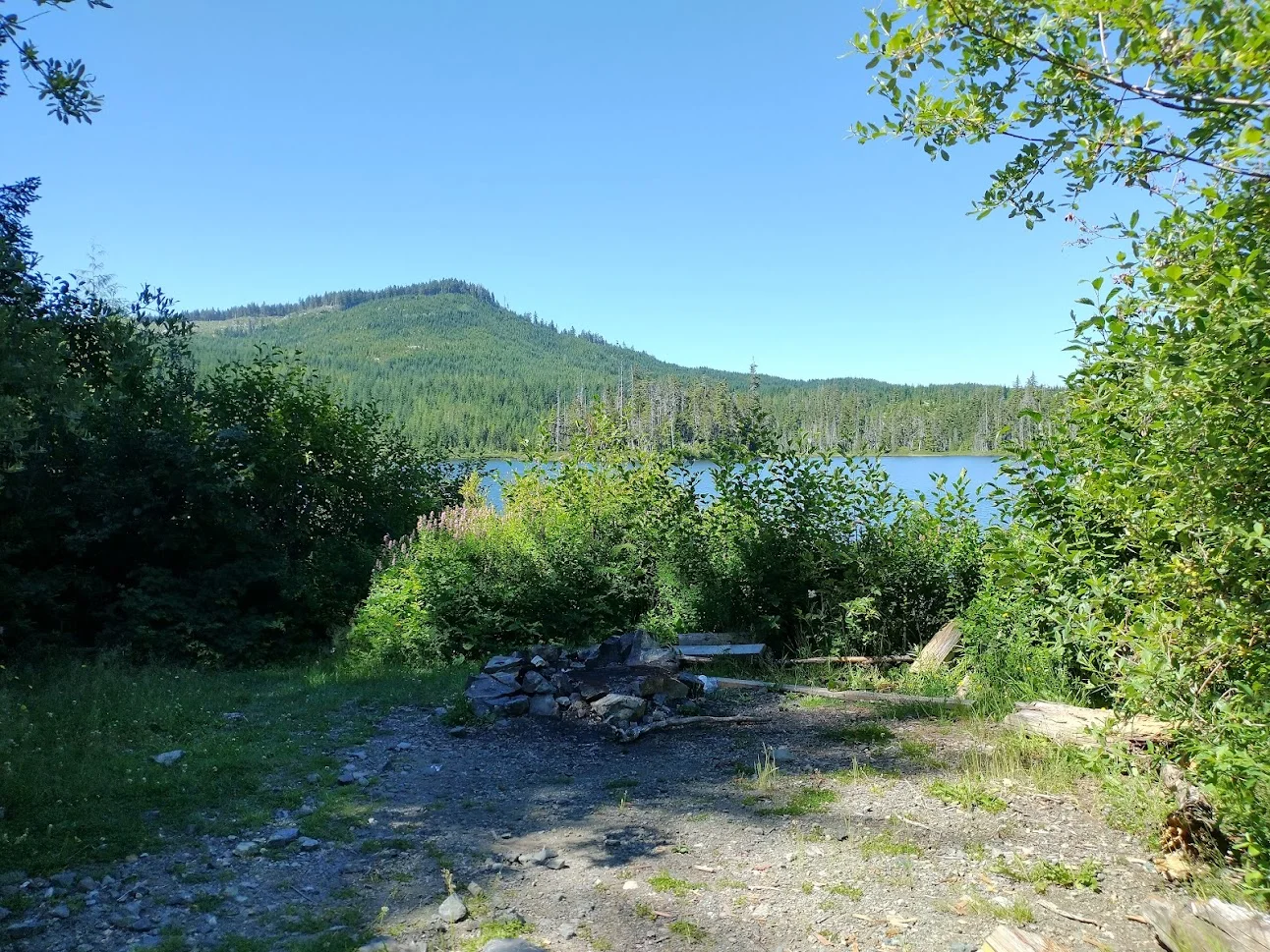 IMG_20220730_120930901_HDR.webp