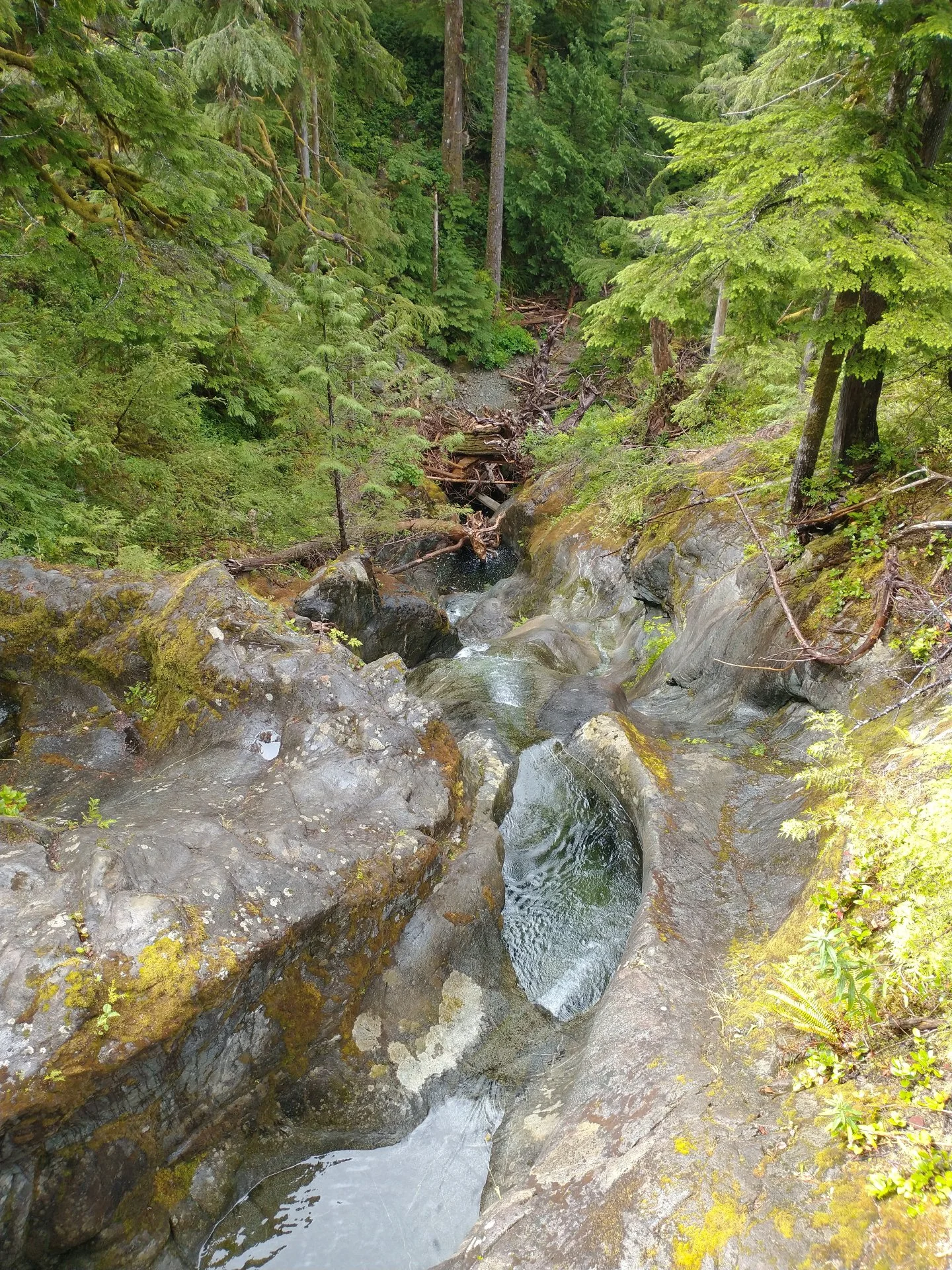 IMG_20220813_113340956.webp