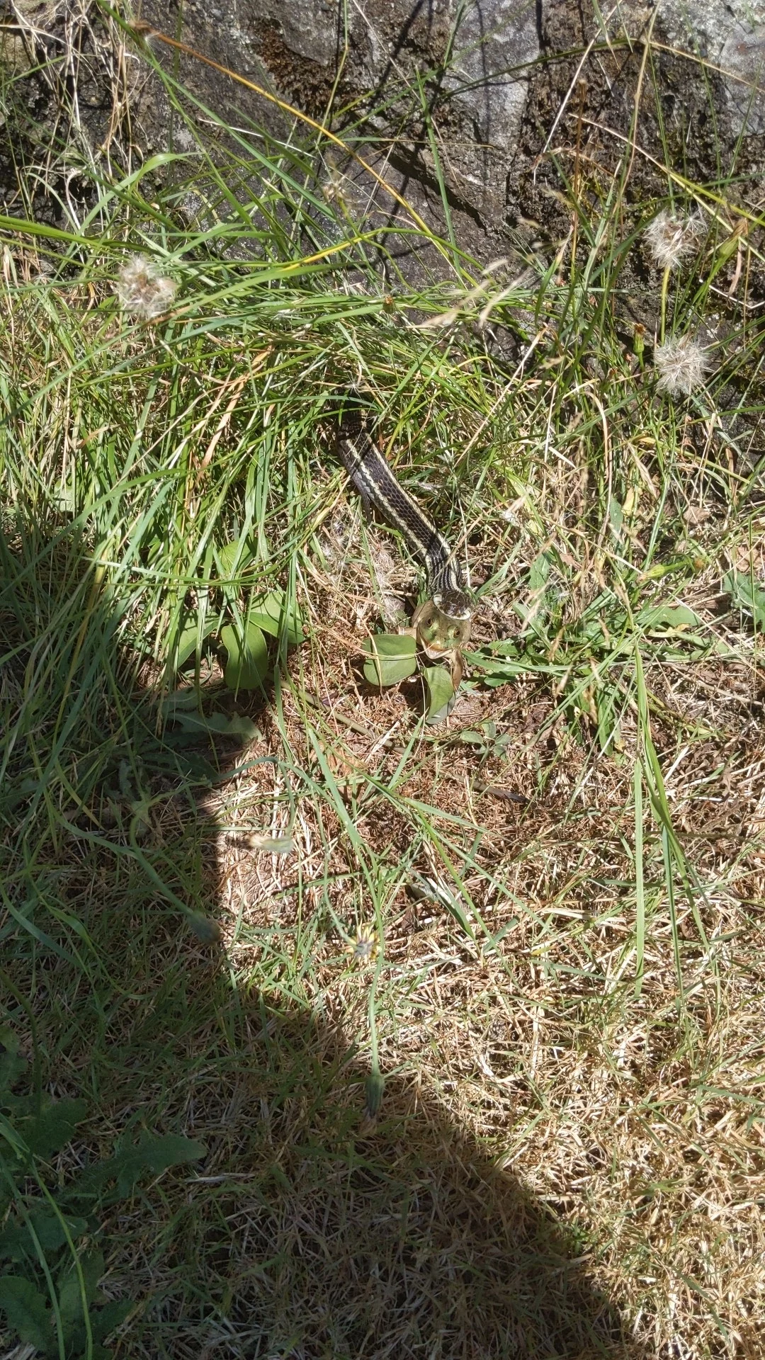 IMG_20220820_143204_01.webp
