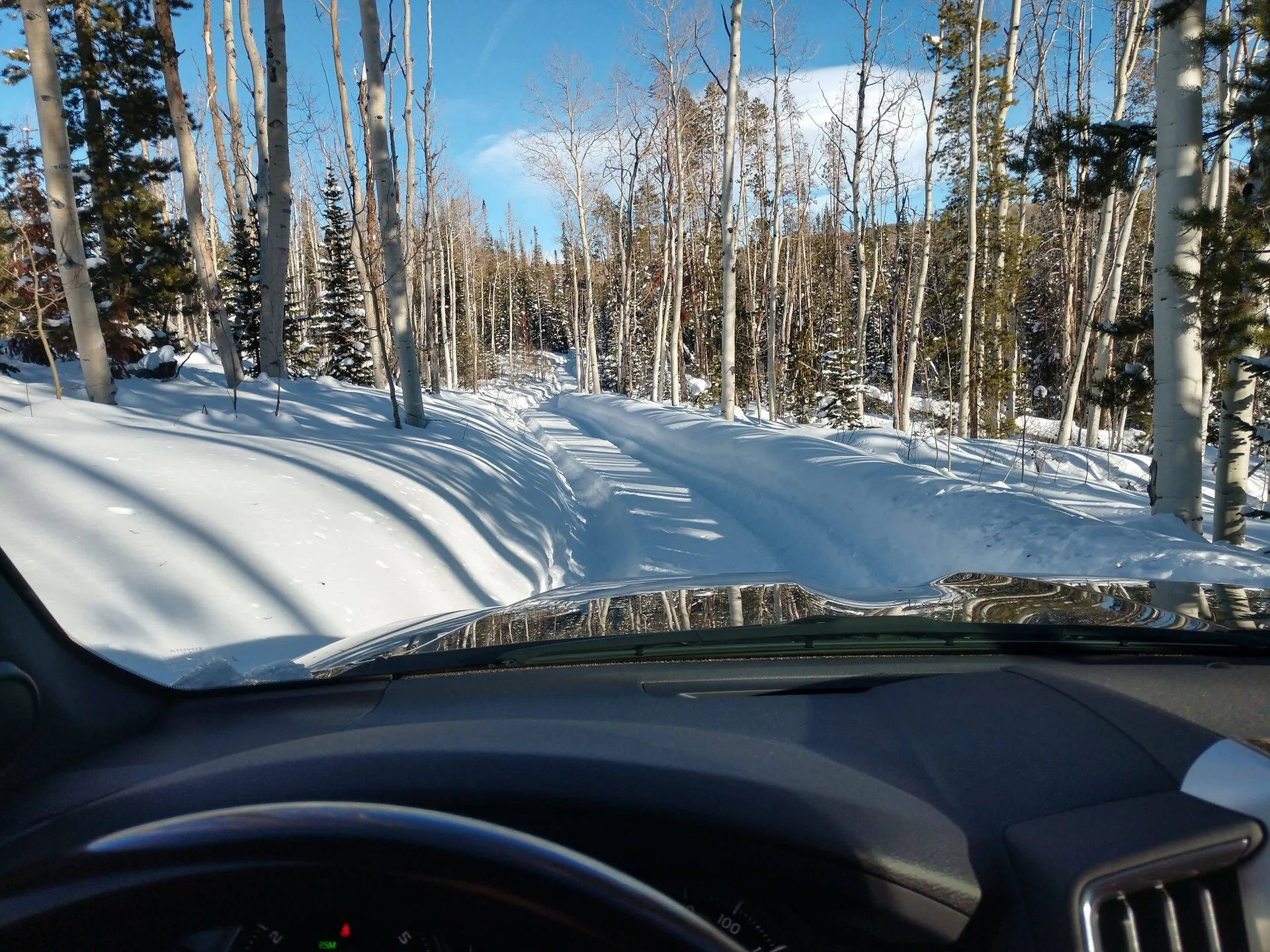 IMG_20221218_145153143_HDR.webp