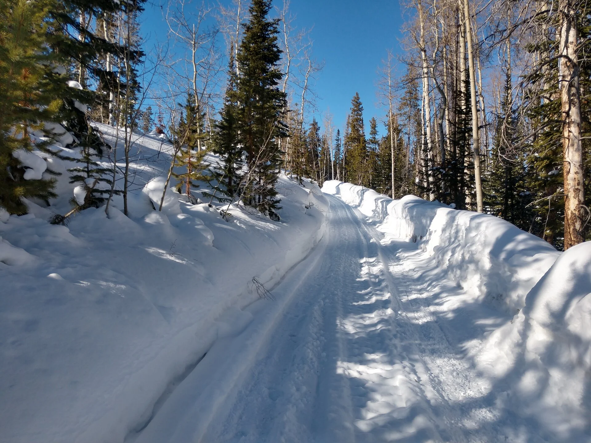 IMG_20230123_140932140_HDR.webp