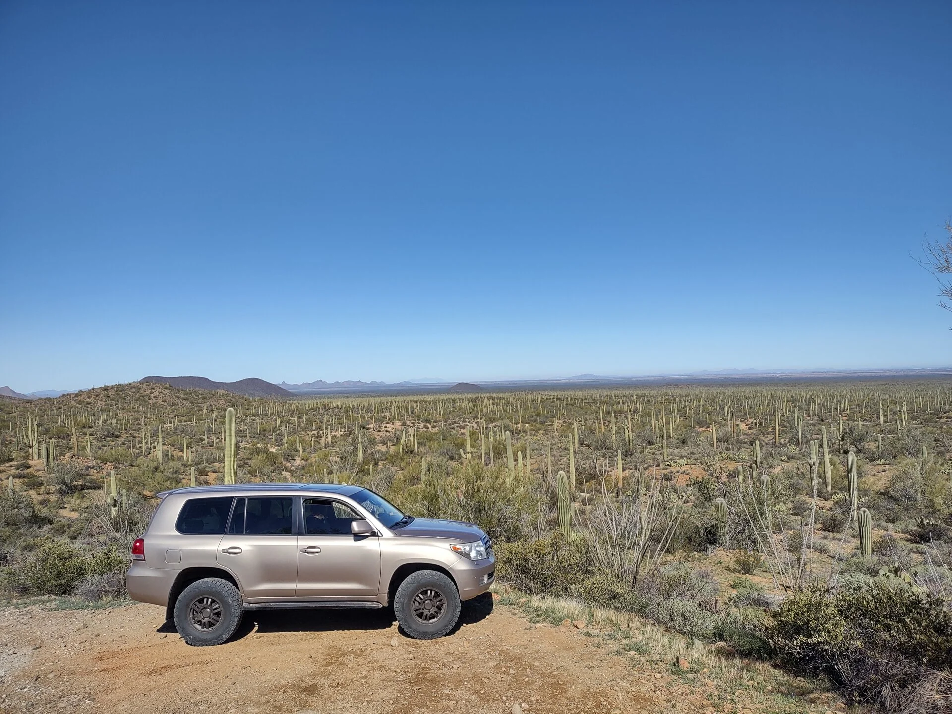 IMG_20230227_105040173_HDR.webp