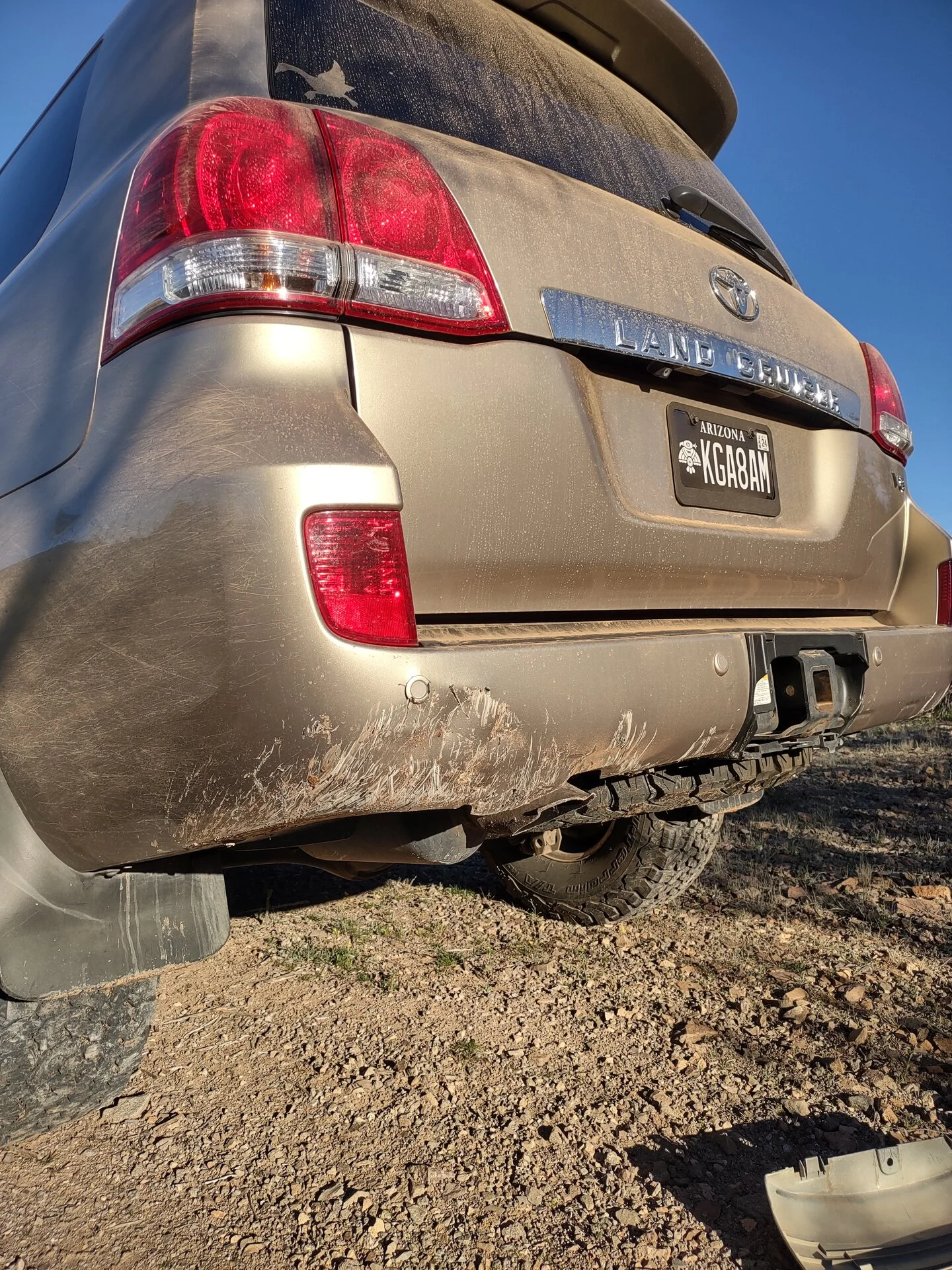 IMG_20230227_170656039_HDR.webp
