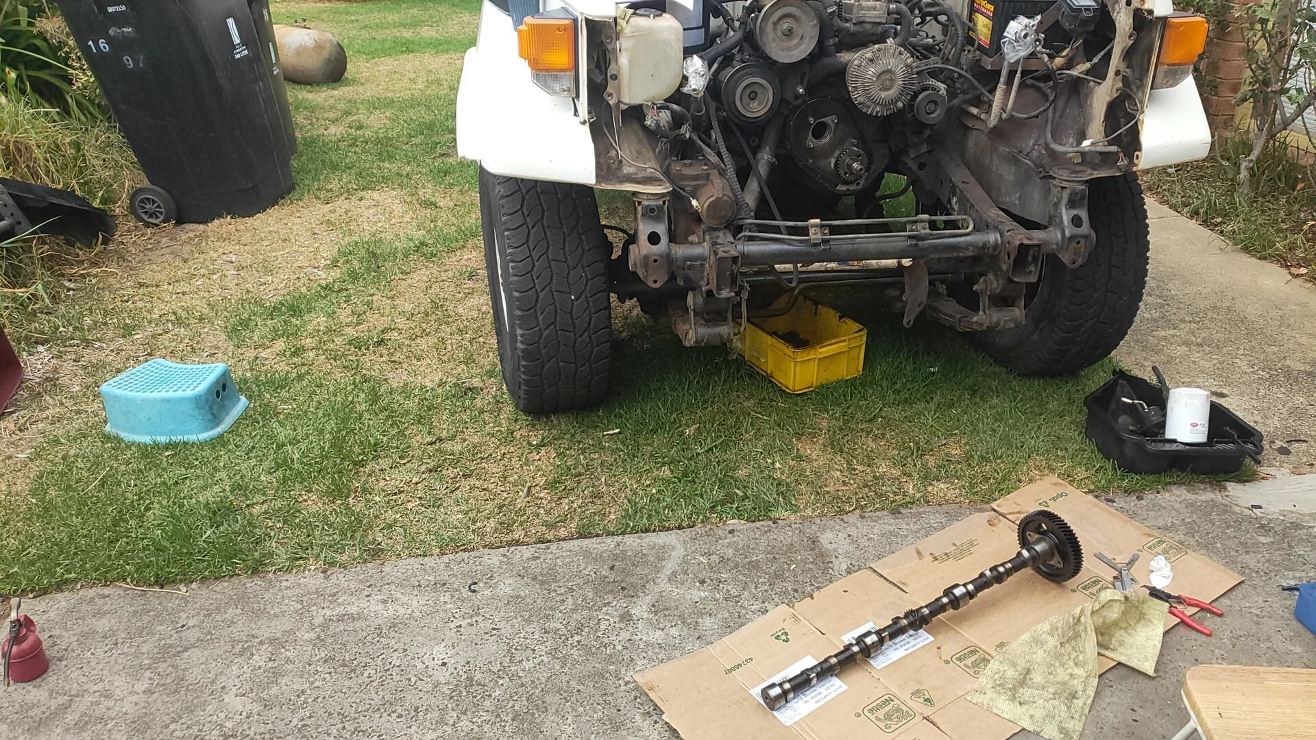 IMG_20230326_103912[1].webp