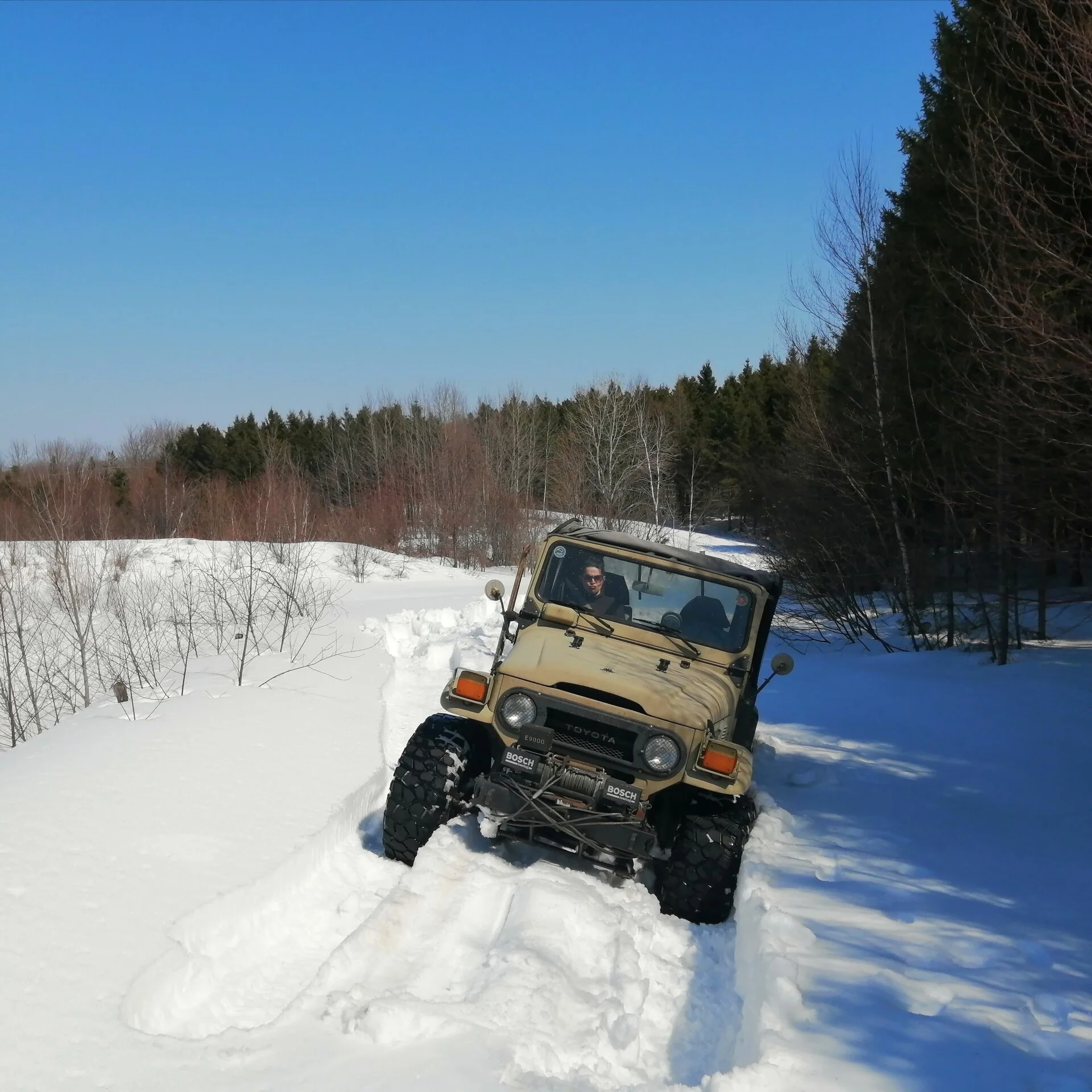 IMG_20230410_175537.webp