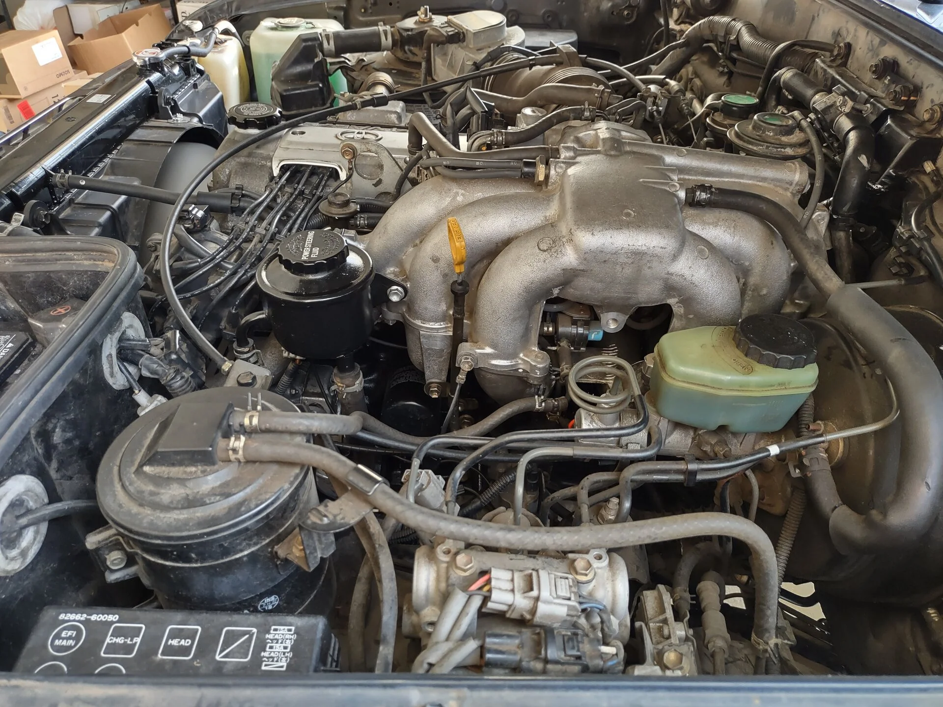 IMG_20230422_184523359_HDR.webp