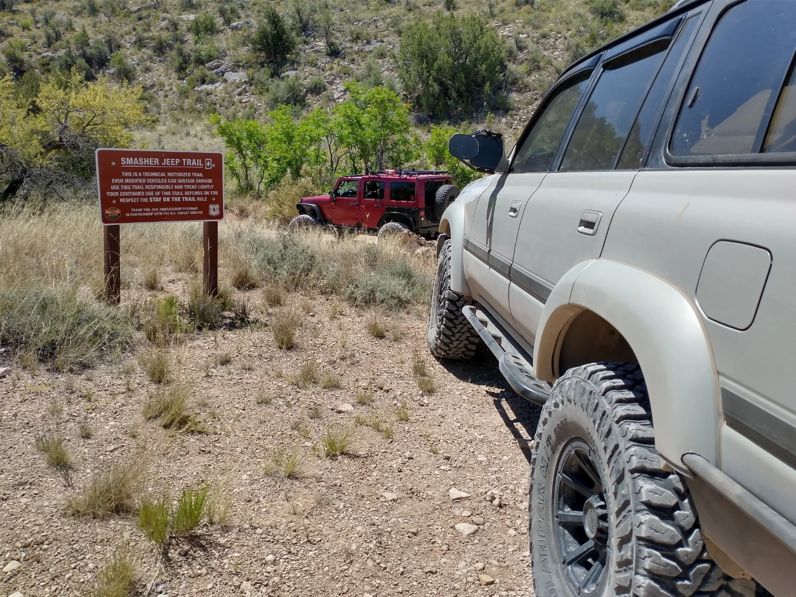 IMG_20230611_104527839_HDR.webp
