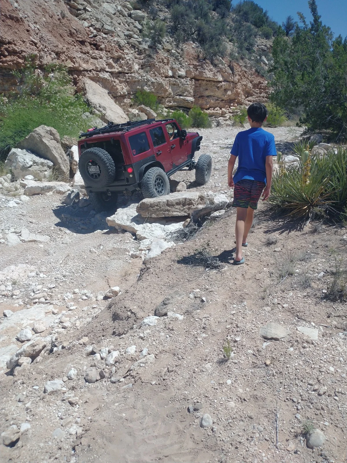 IMG_20230611_110721944.webp