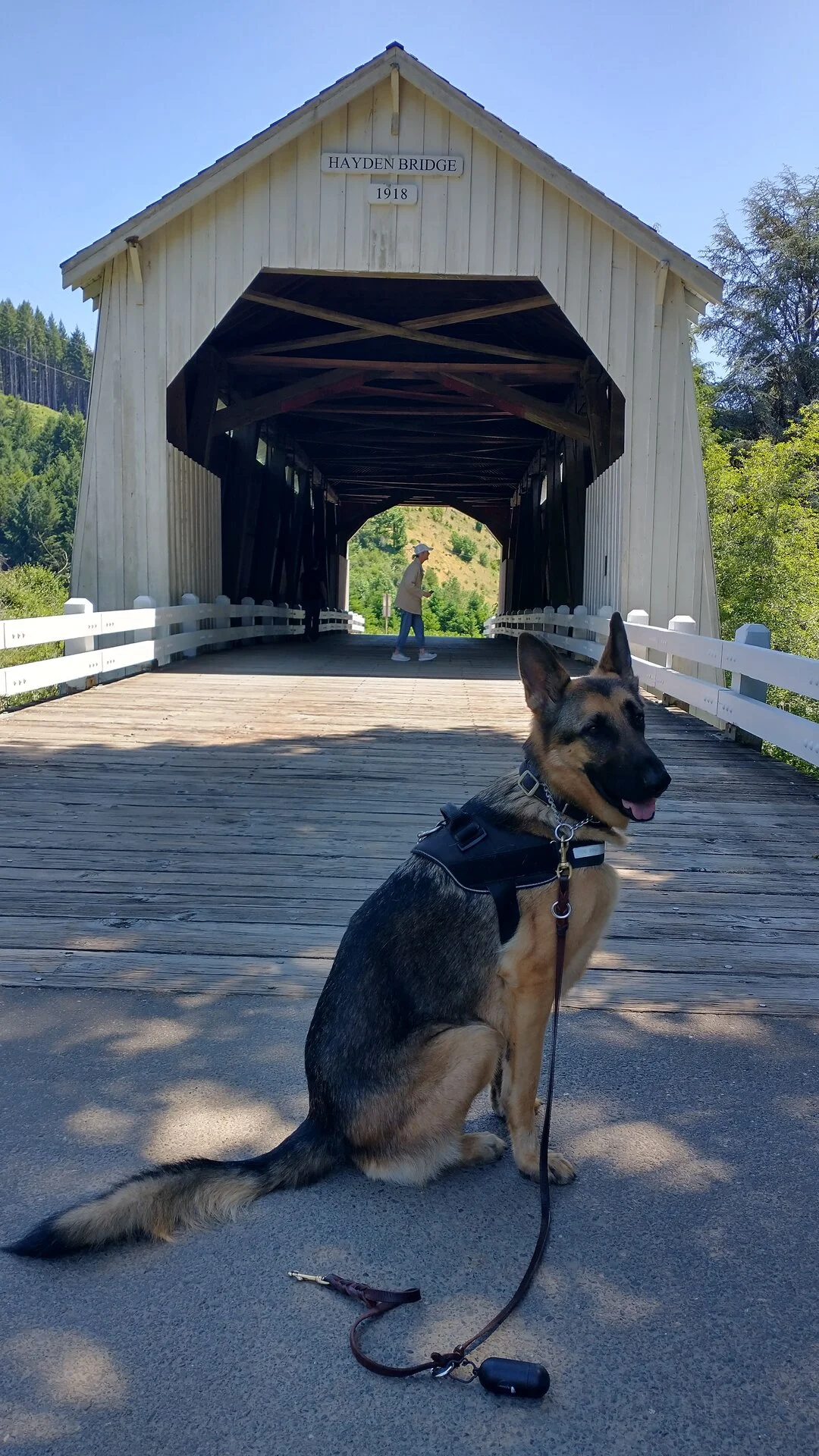 IMG_20230613_143101520_HDR.webp