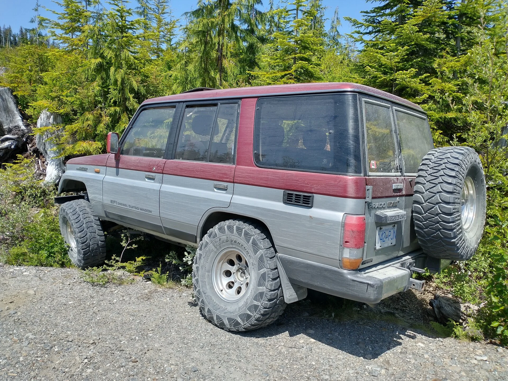 IMG_20230624_142946026_HDR.webp