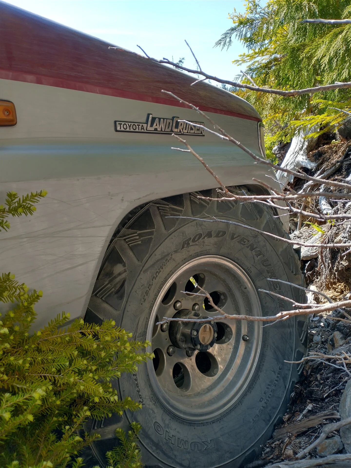 IMG_20230624_154810901_HDR.webp