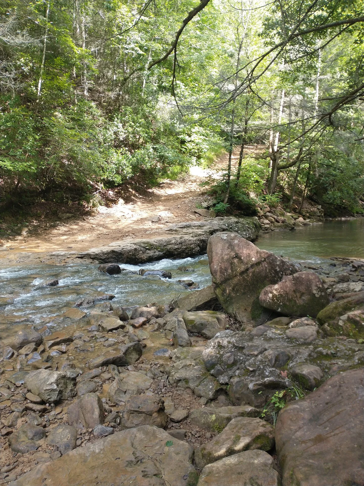 IMG_20230722_153815741.webp