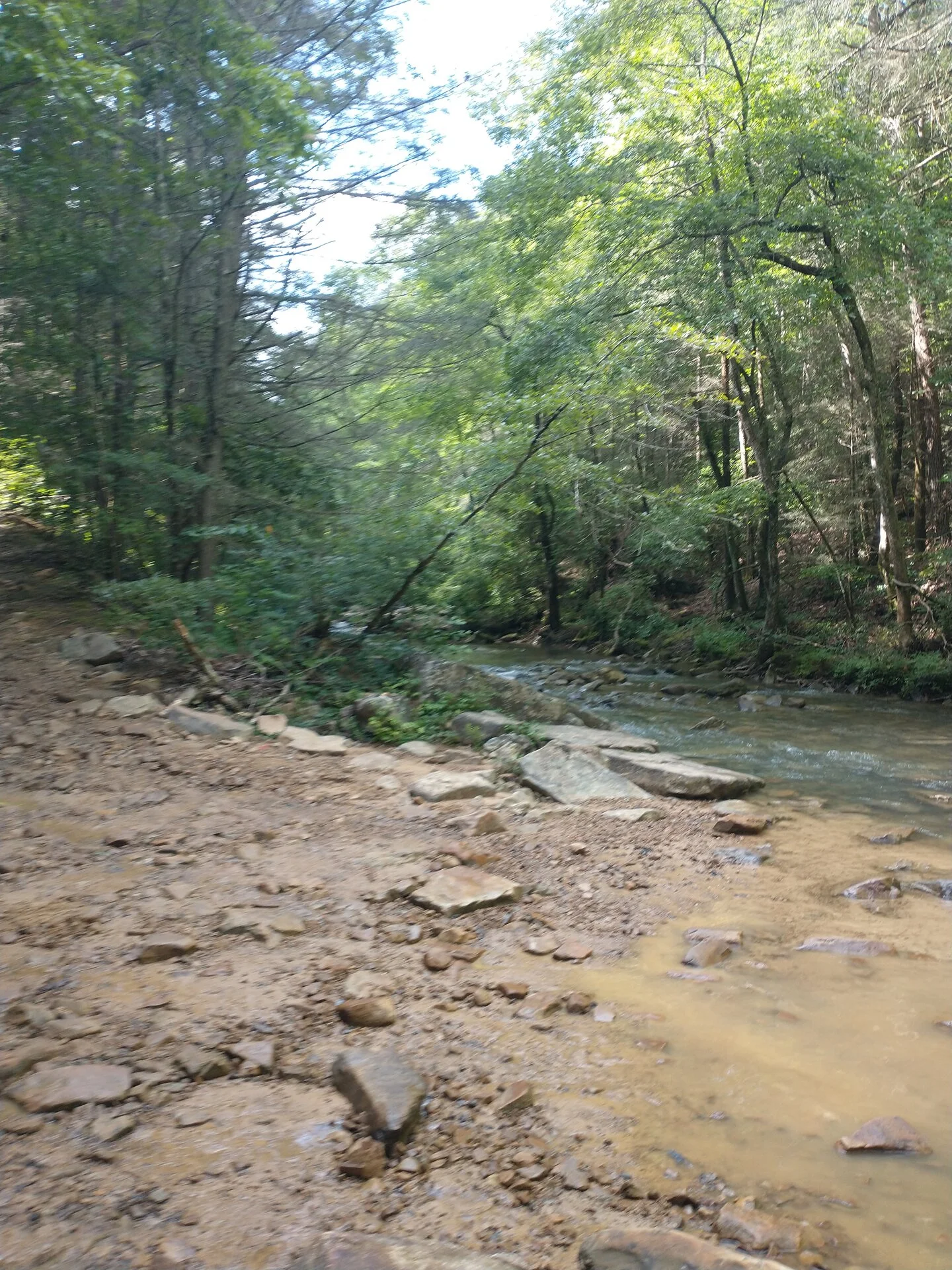 IMG_20230722_153818537.webp