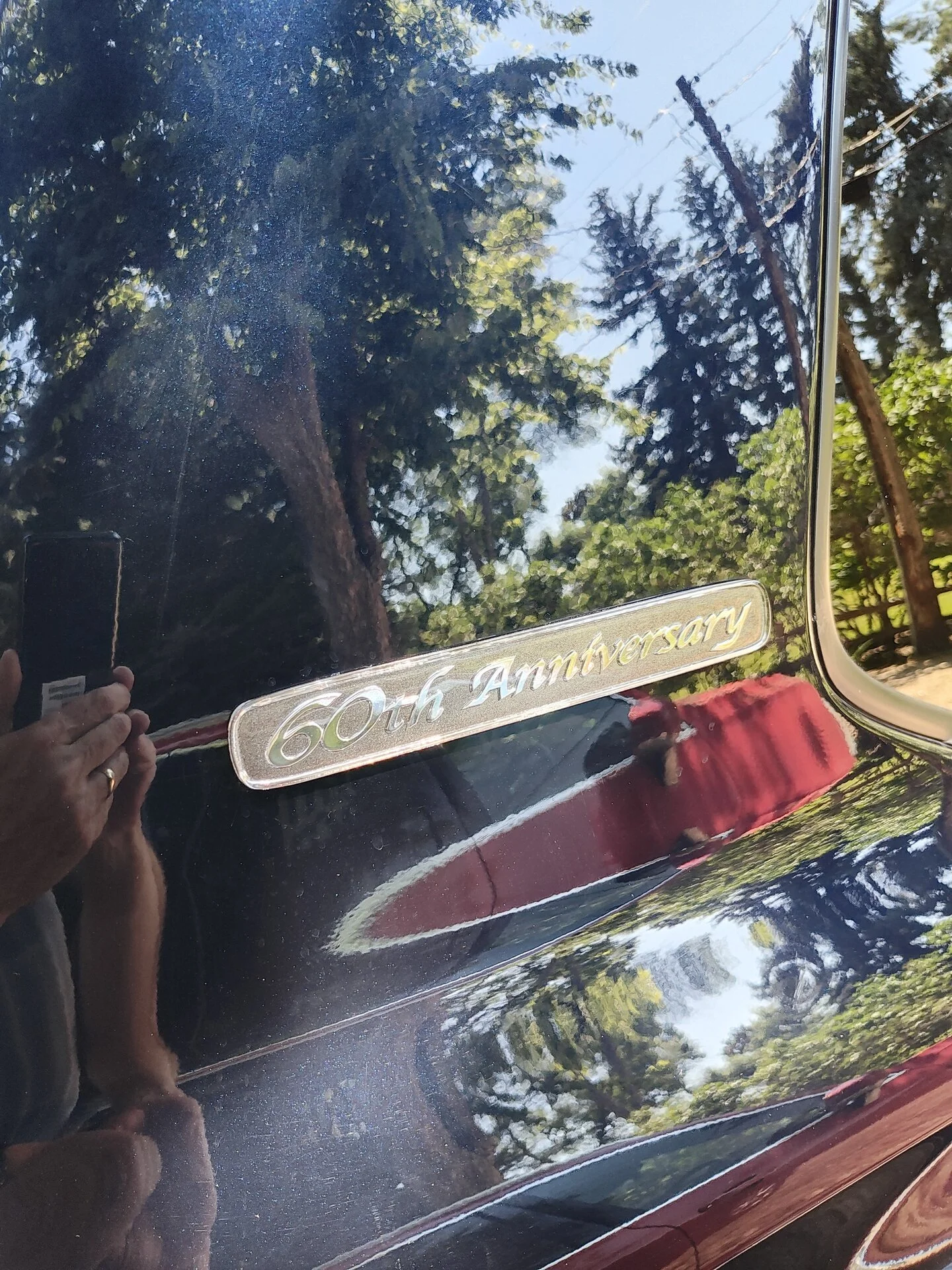 IMG_20230723_112109873_HDR.webp