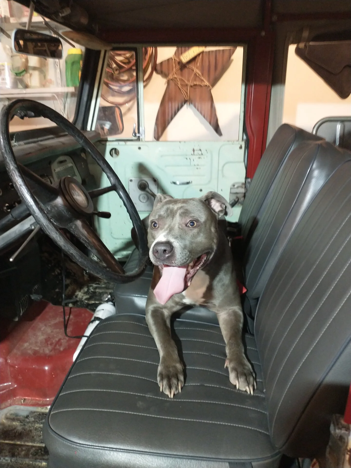 IMG_20230913_201331659.webp