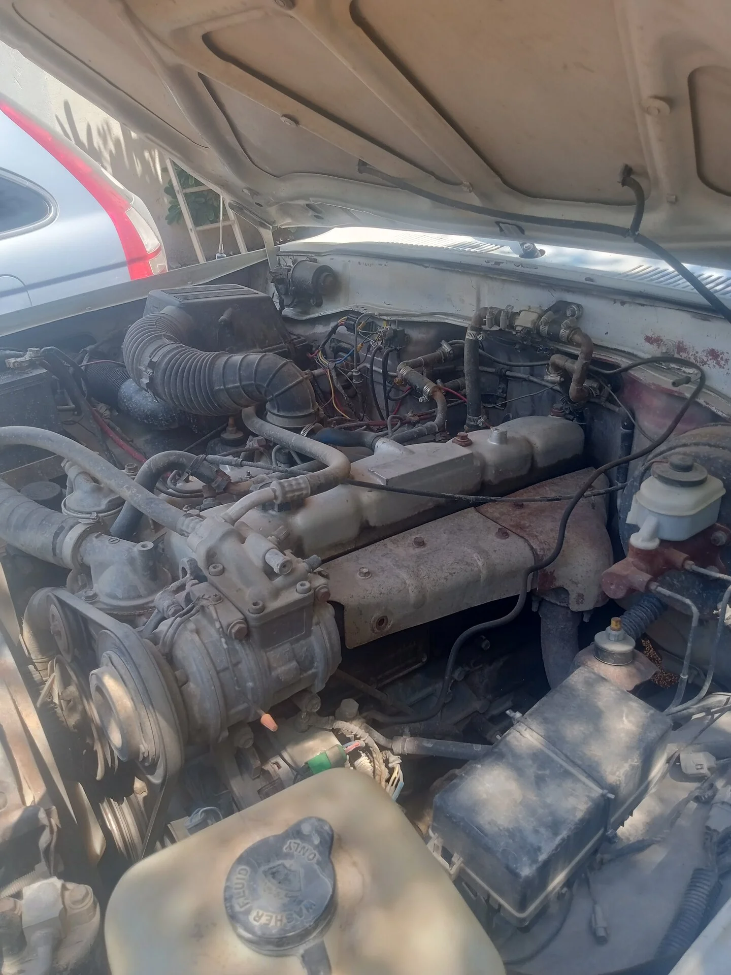 IMG_20230914_123708_146_HDR.webp