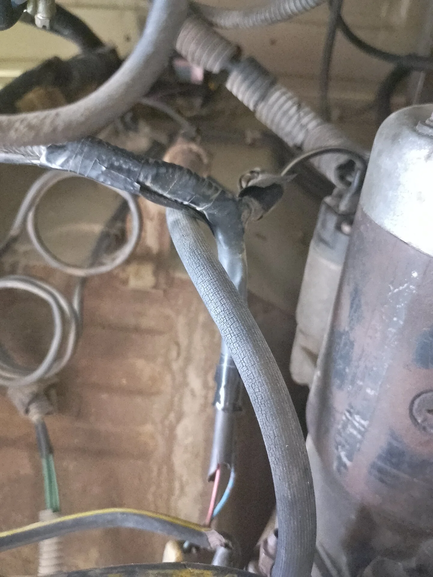 IMG_20231018_164145_HDR.webp