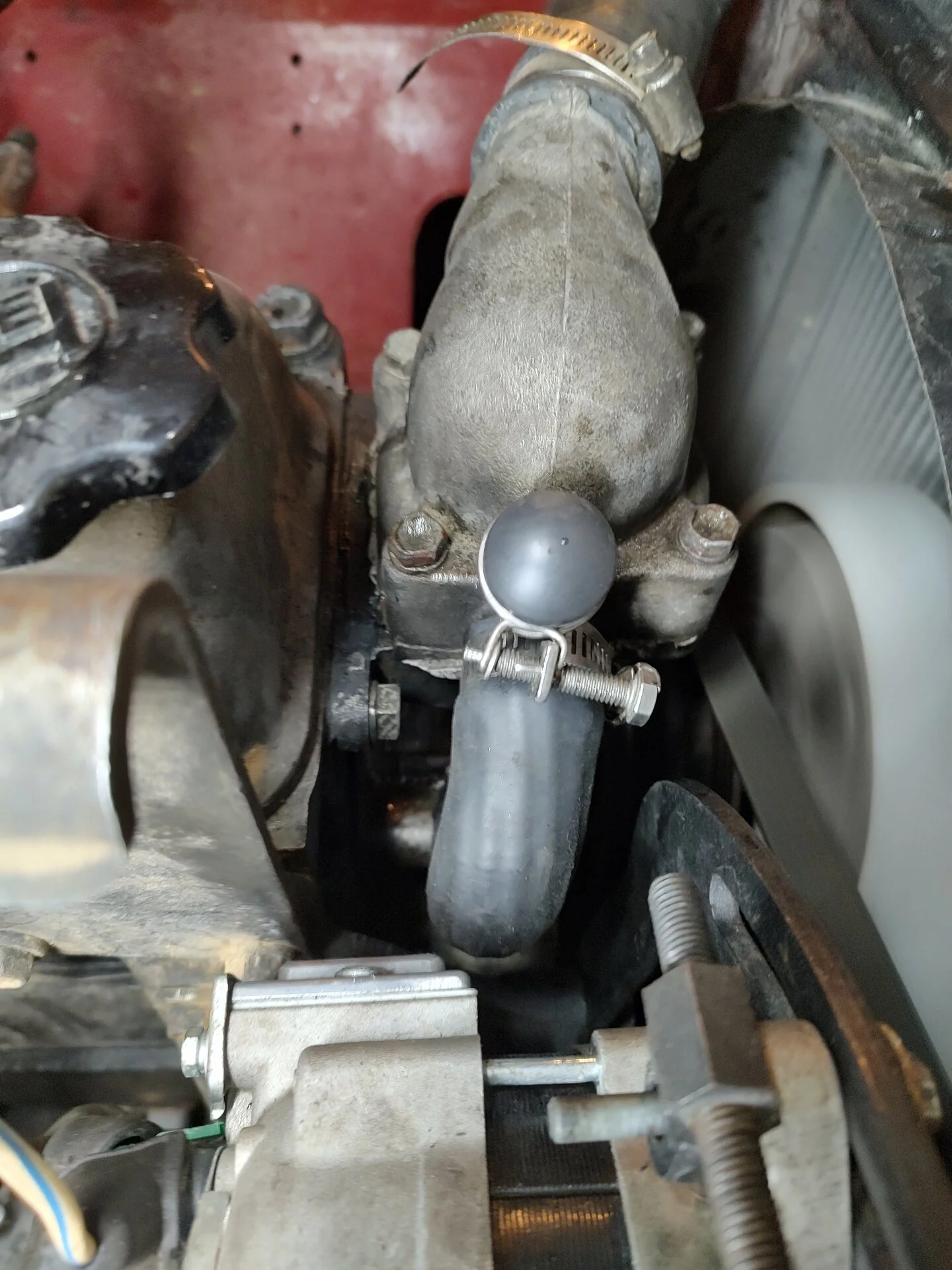 IMG_20231105_202754160_HDR.webp
