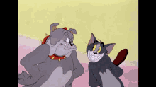 IMG_20231204_101458.gif