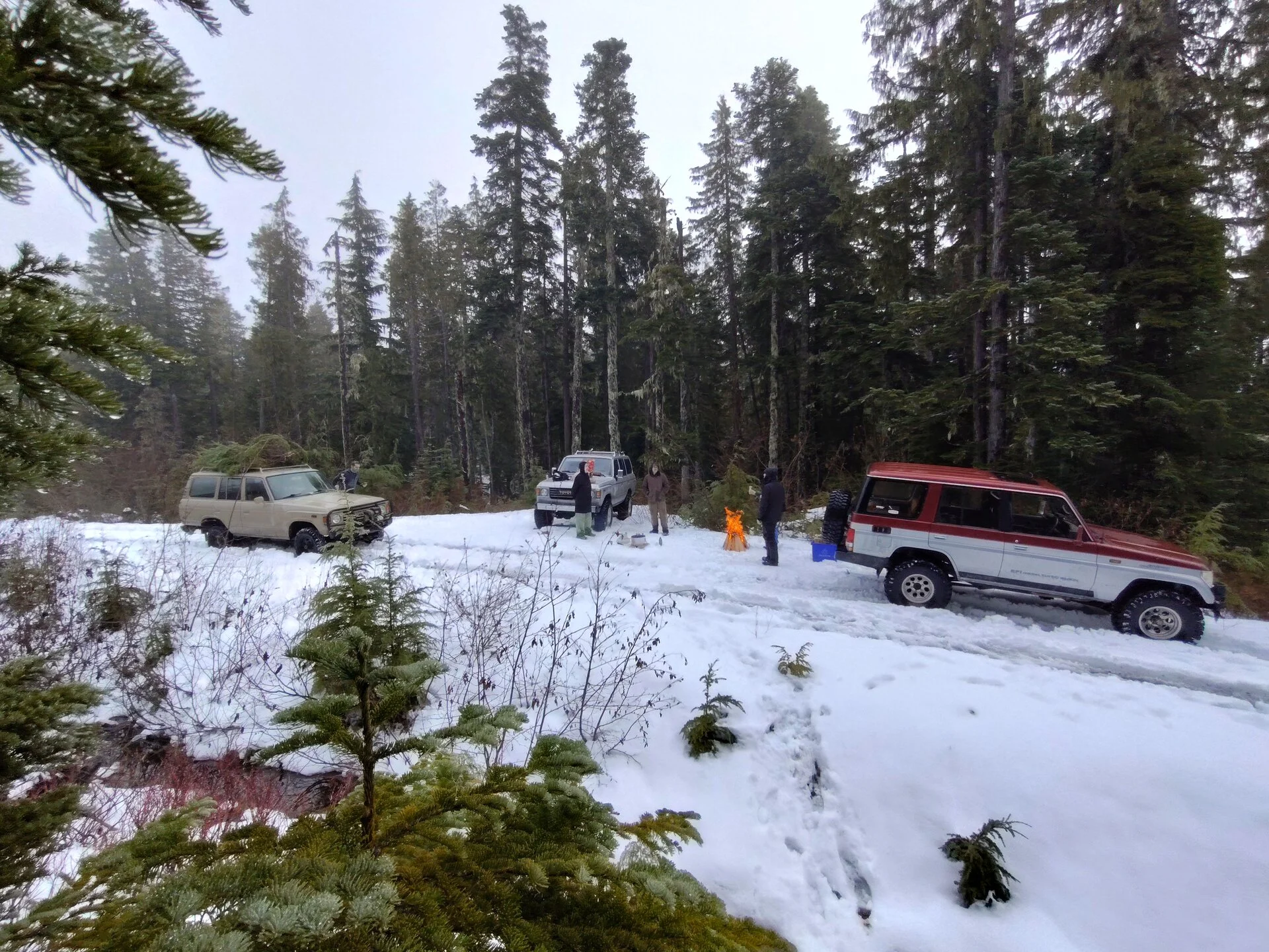 IMG_20231210_124131017_HDR.webp
