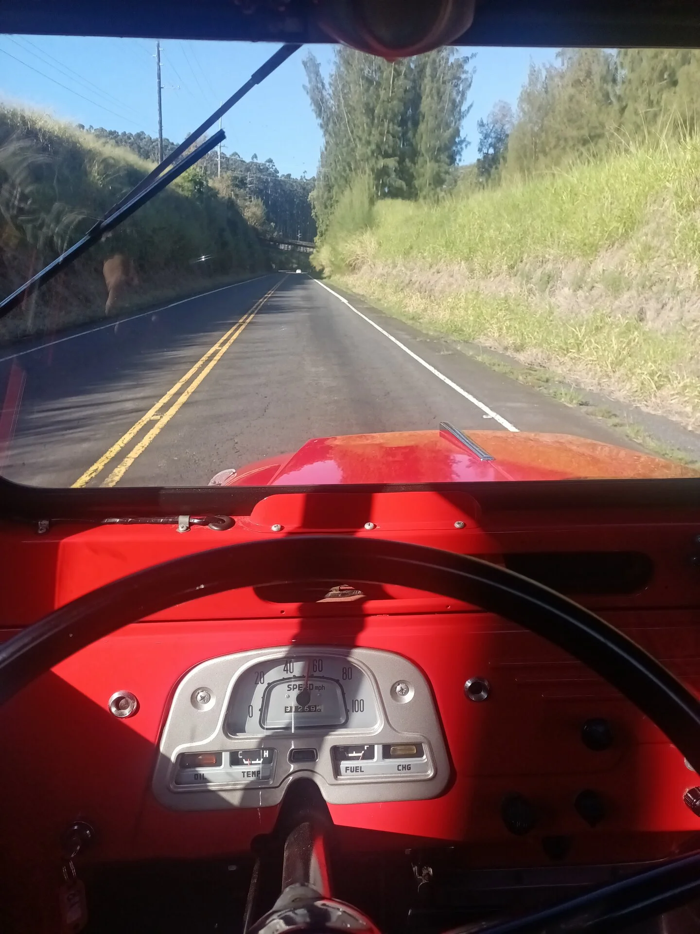 IMG_20231211_090659.jpg