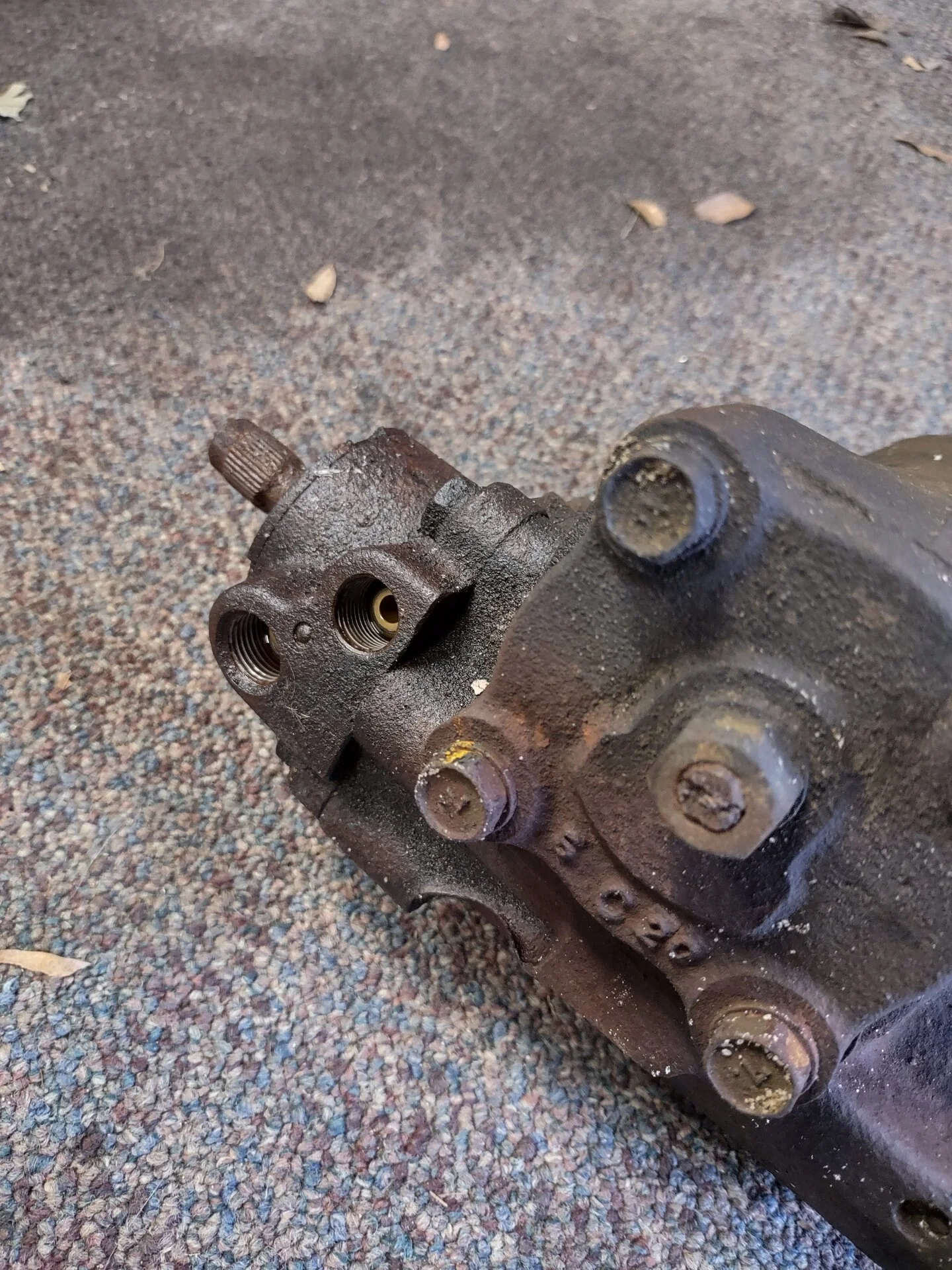 IMG_20240204_161952344_HDR.webp