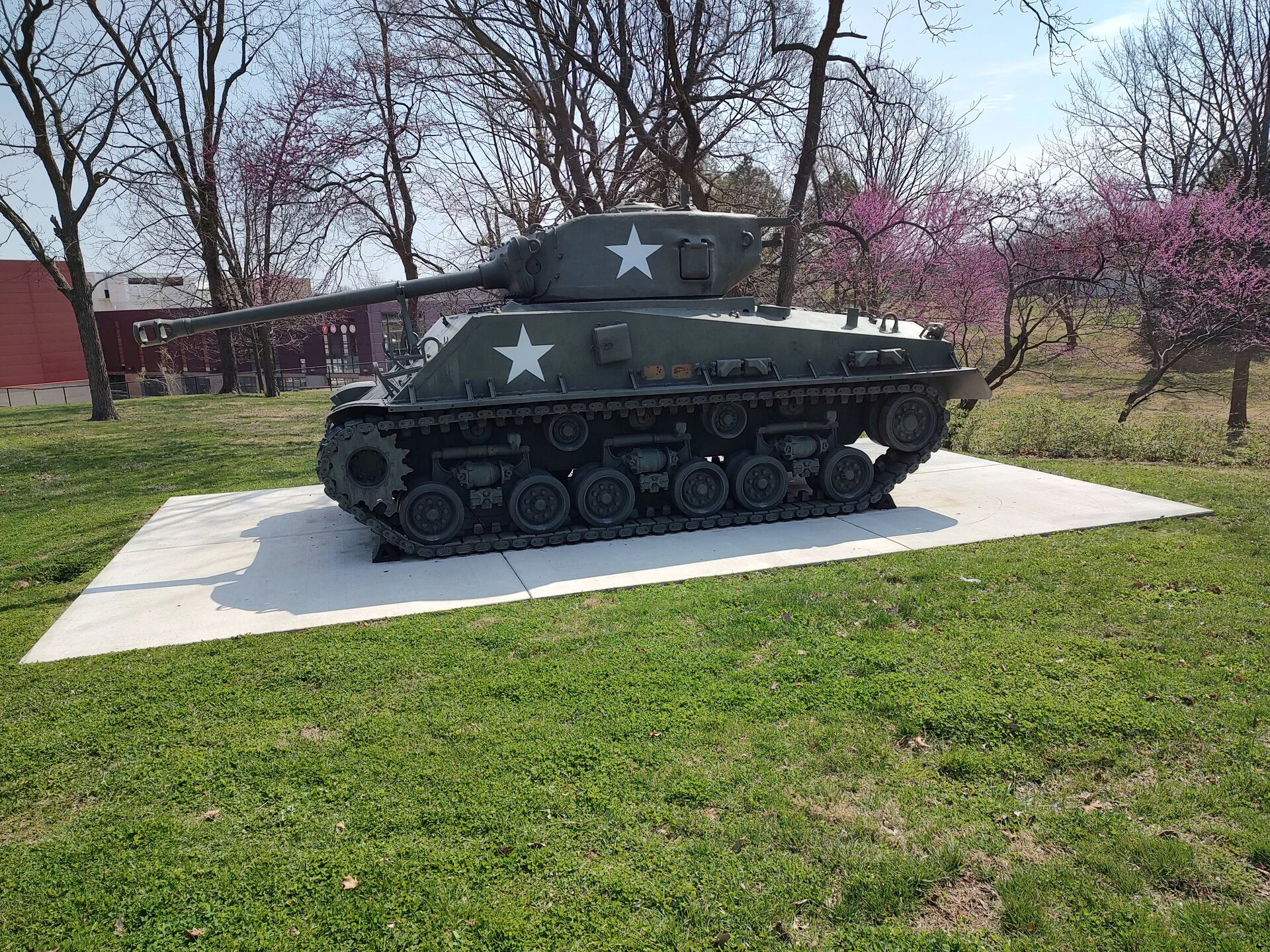 IMG_20240321_113346999_HDR.webp