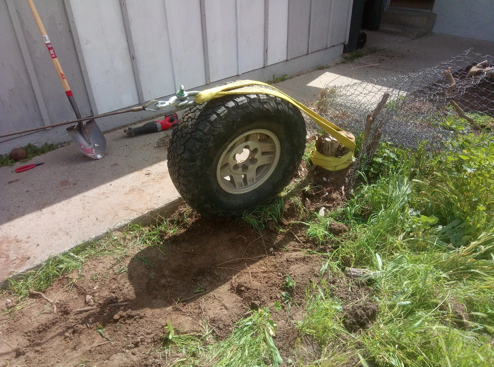 IMG_20240329_112553_7.webp