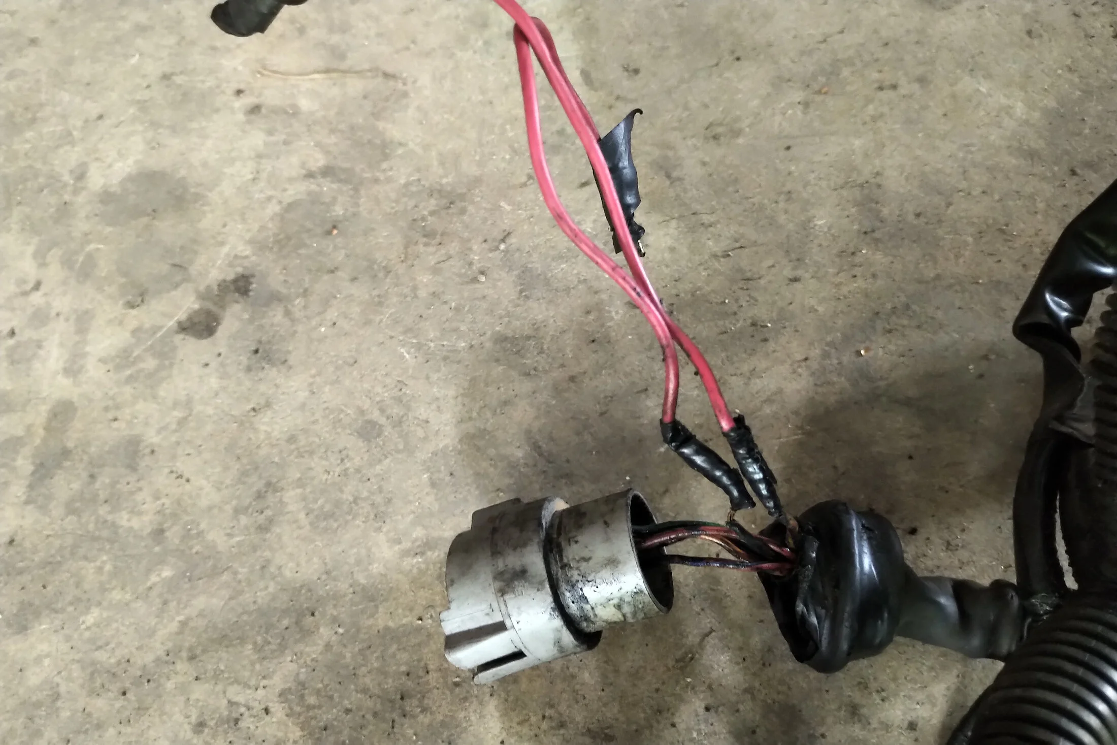 IMG_20240610_1007303[1].webp