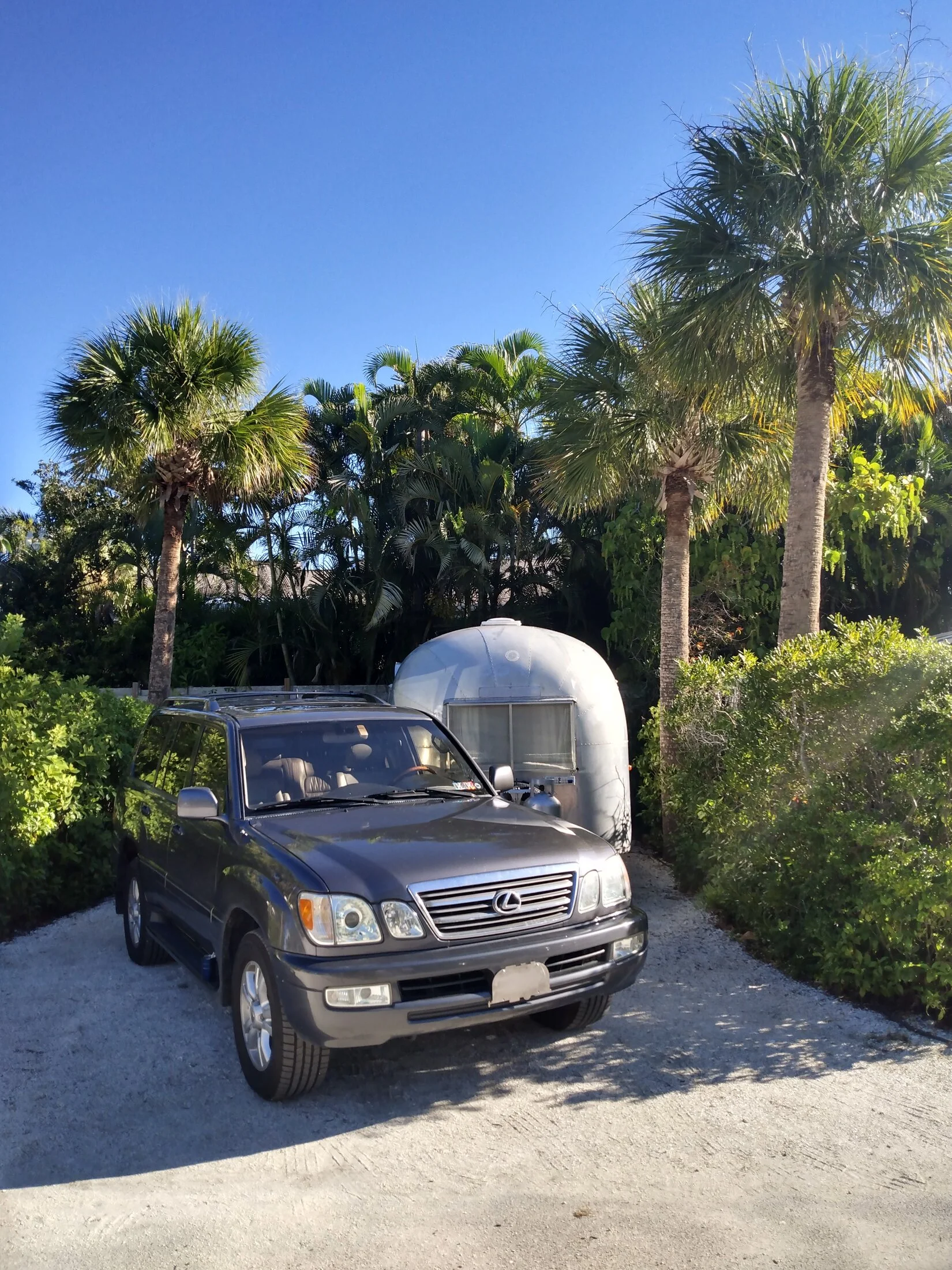 IMG_20240624_084931458_HDR.webp