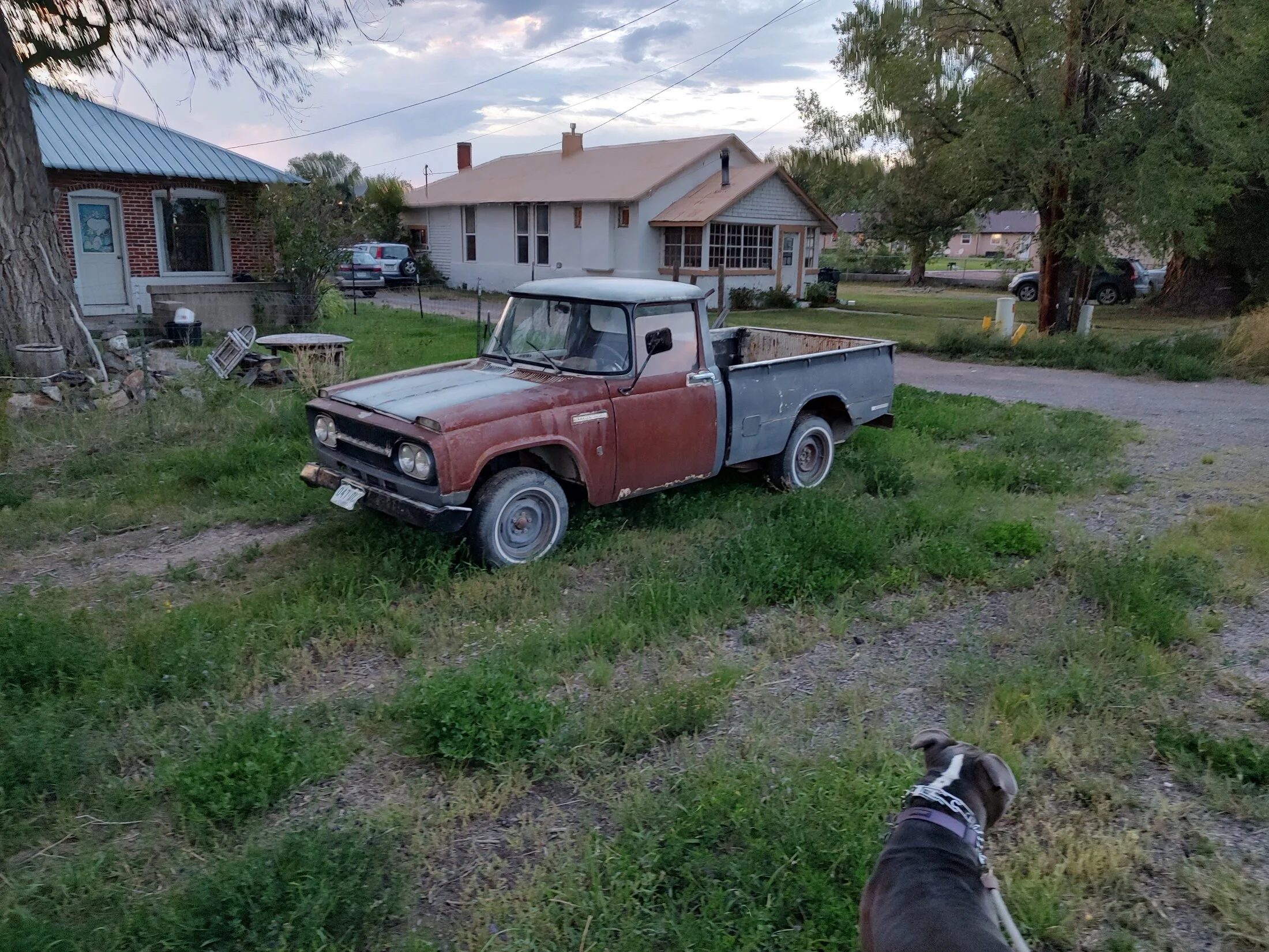 IMG_20240908_192040322_HDR.jpg
