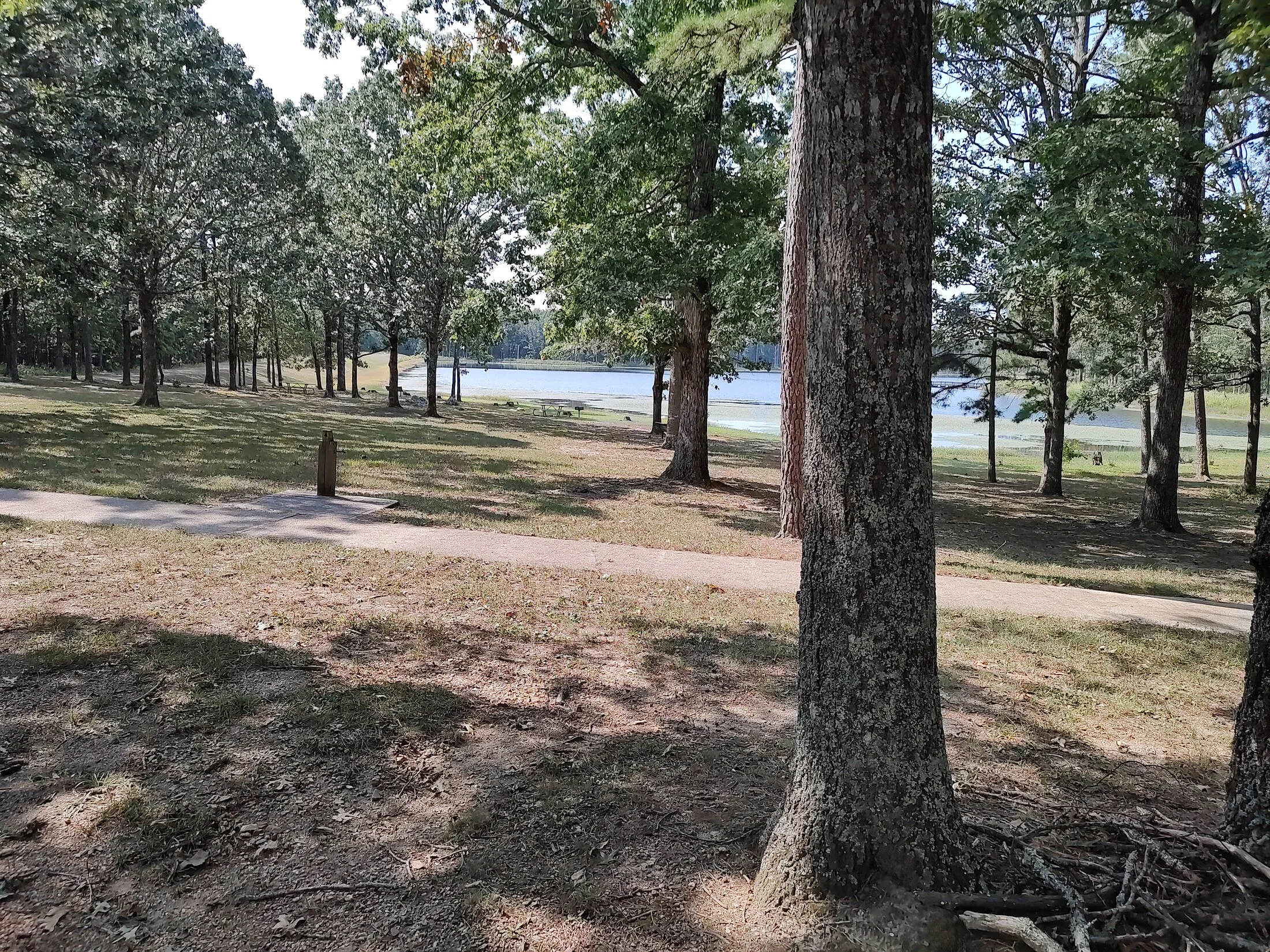 IMG_20240911_110310905_HDR.webp