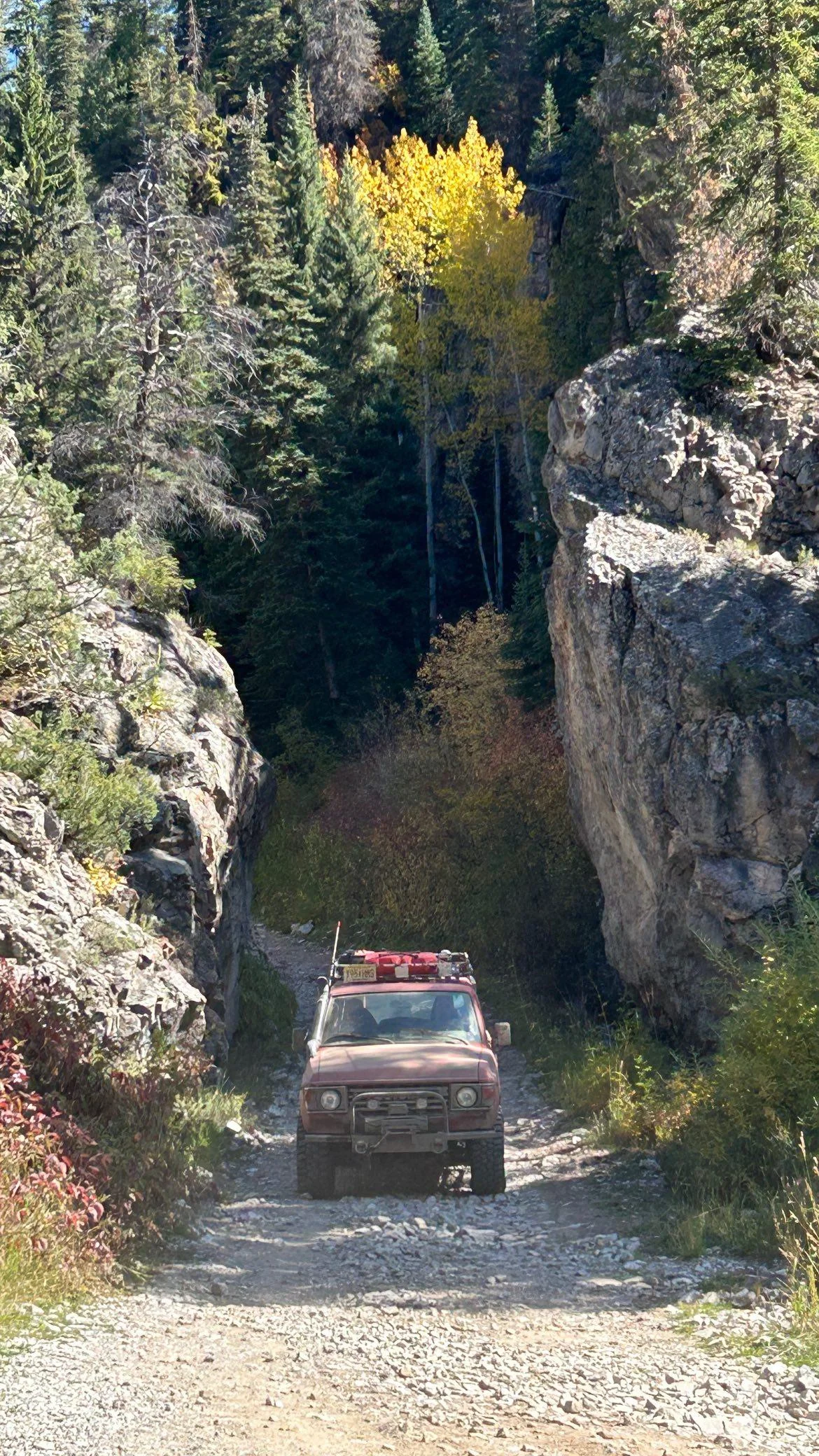 IMG_20240929_221611_309.webp