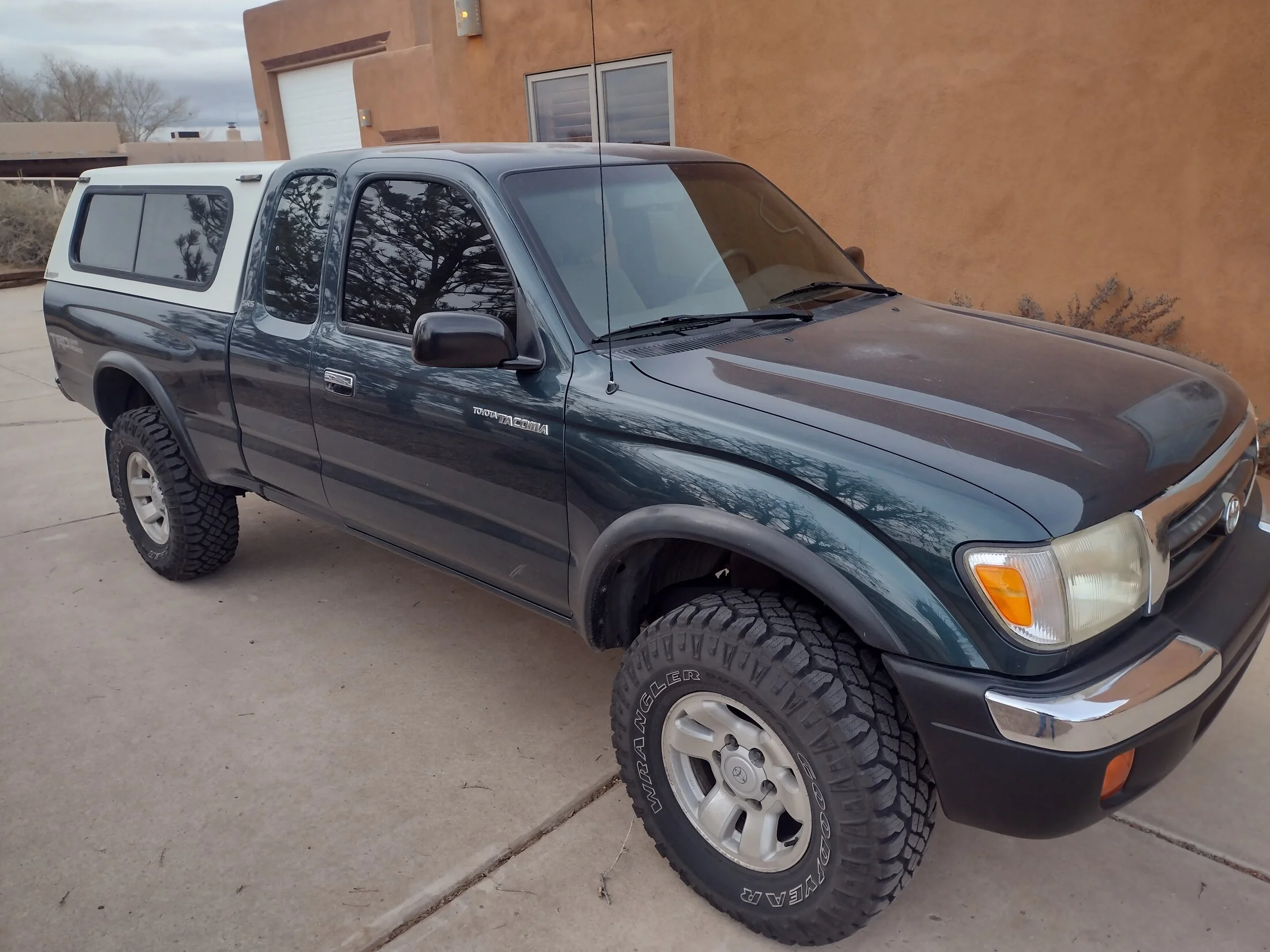 IMG_20241226_160616127_HDR.webp